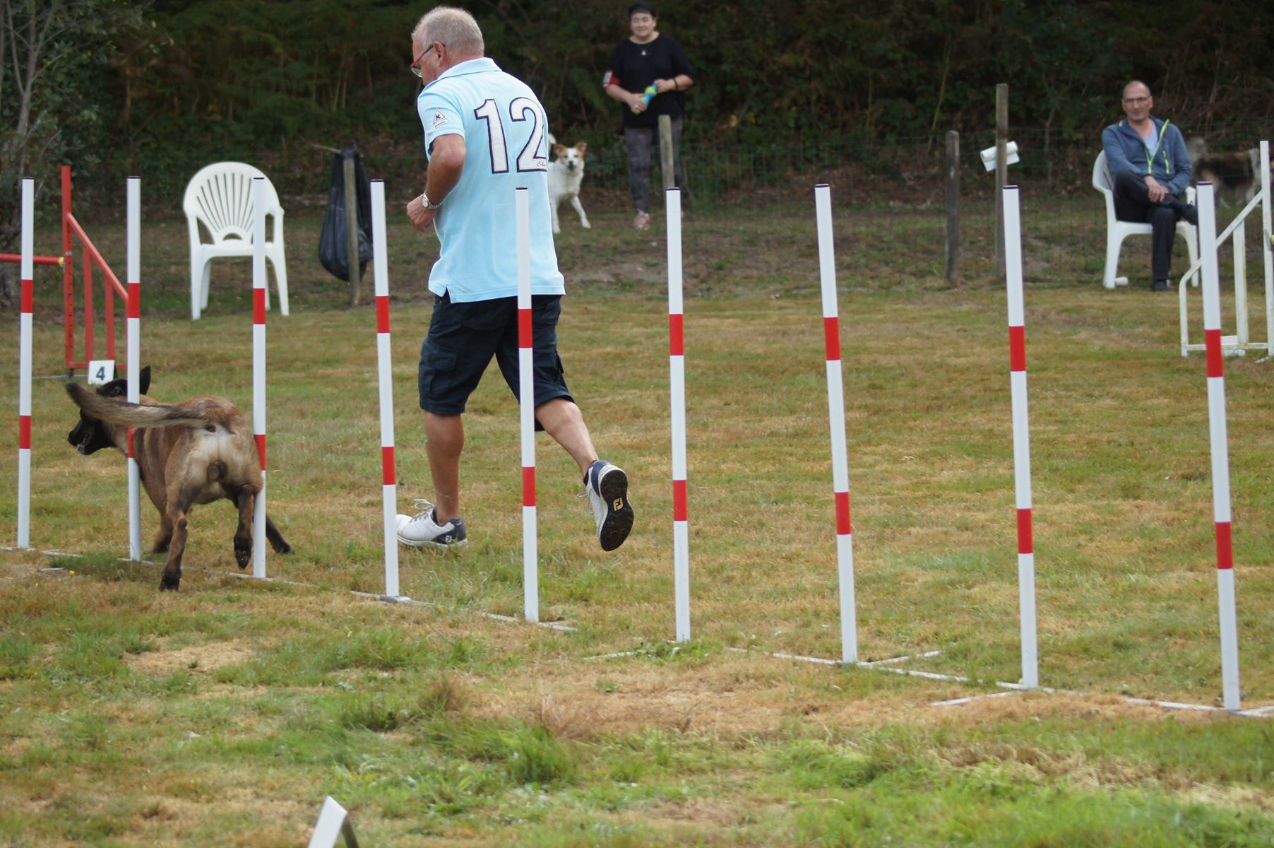  CONCOURS AGILITY 28 AOÛT 2022