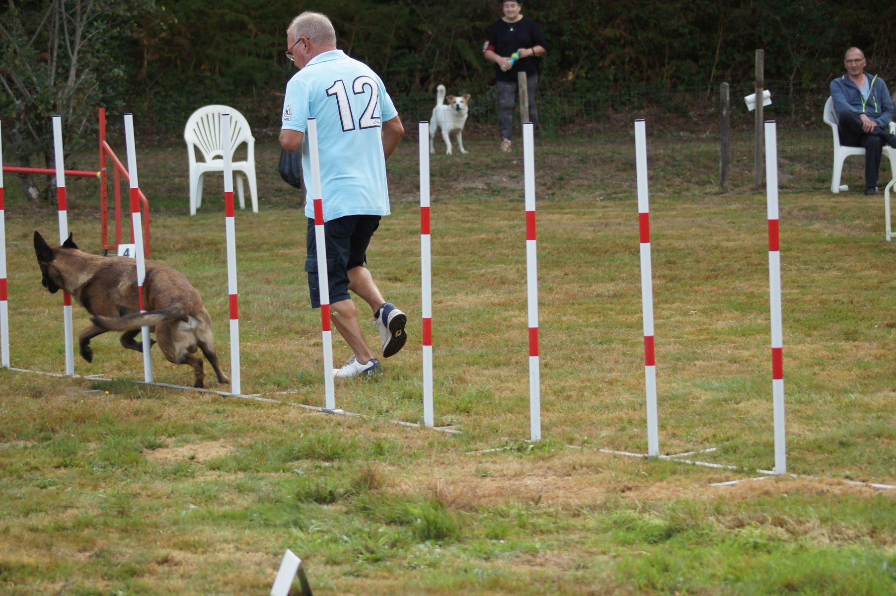  CONCOURS AGILITY 28 AOÛT 2022