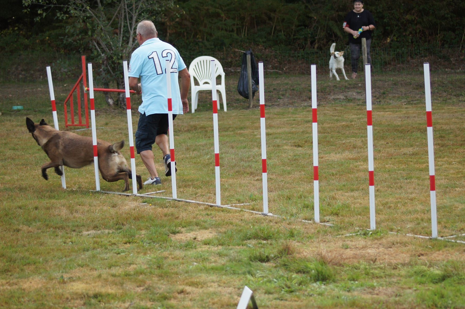  CONCOURS AGILITY 28 AOÛT 2022