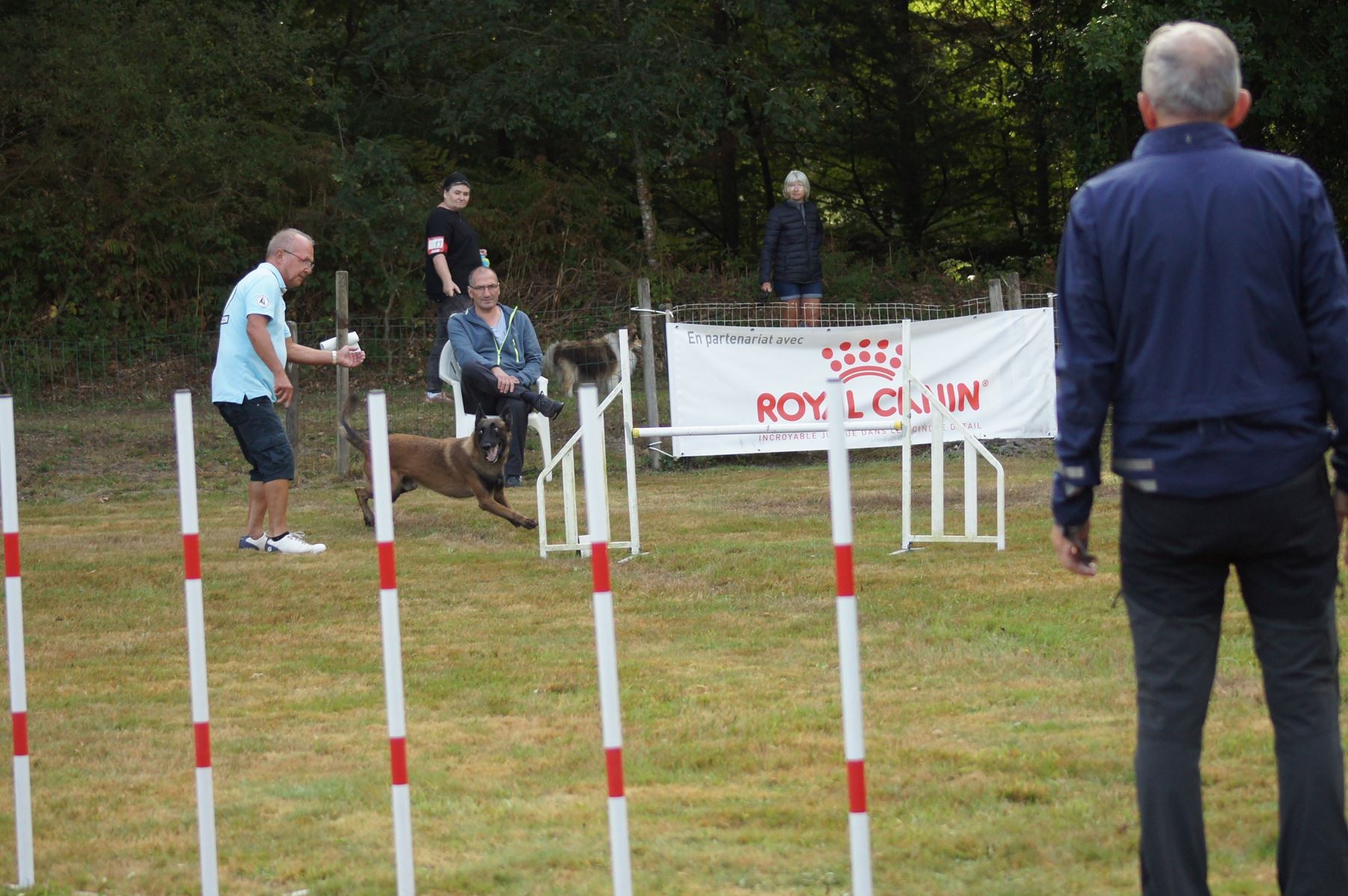  CONCOURS AGILITY 28 AOÛT 2022