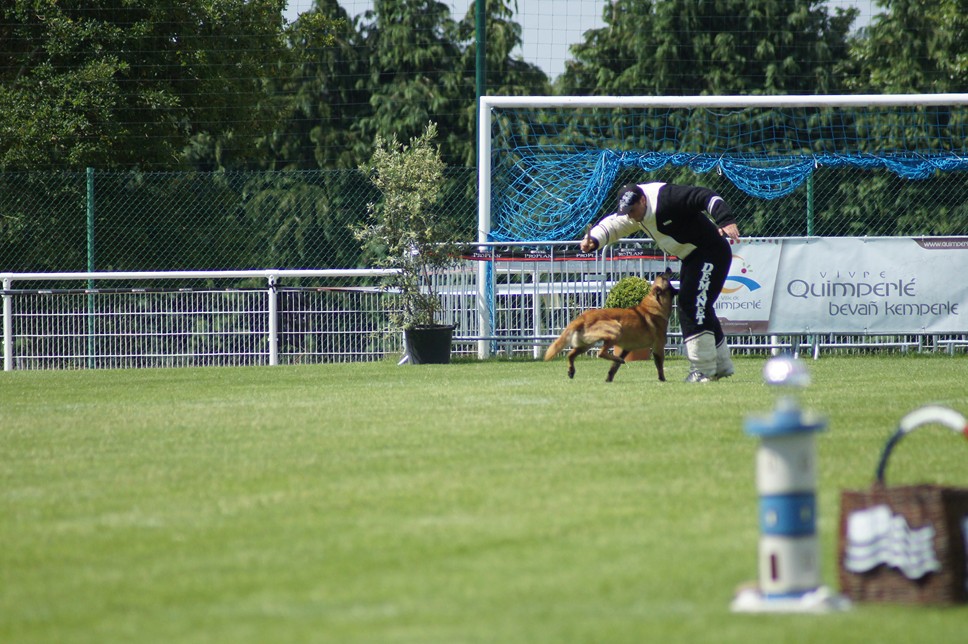 Championnat de France RING 29 ET 30 JUIN 2013 A QUIMPERLE