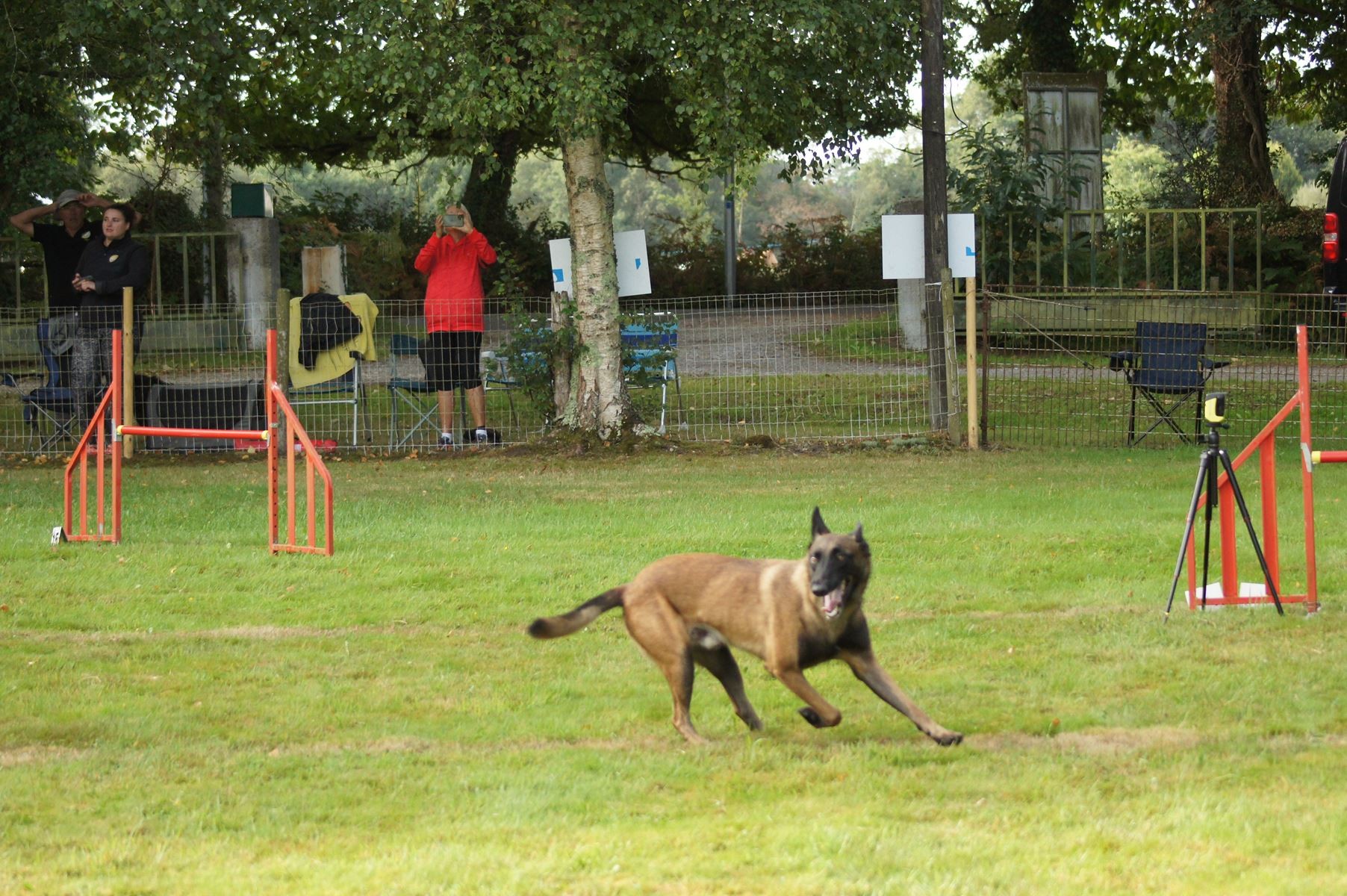  CONCOURS AGILITY 28 AOÛT 2022