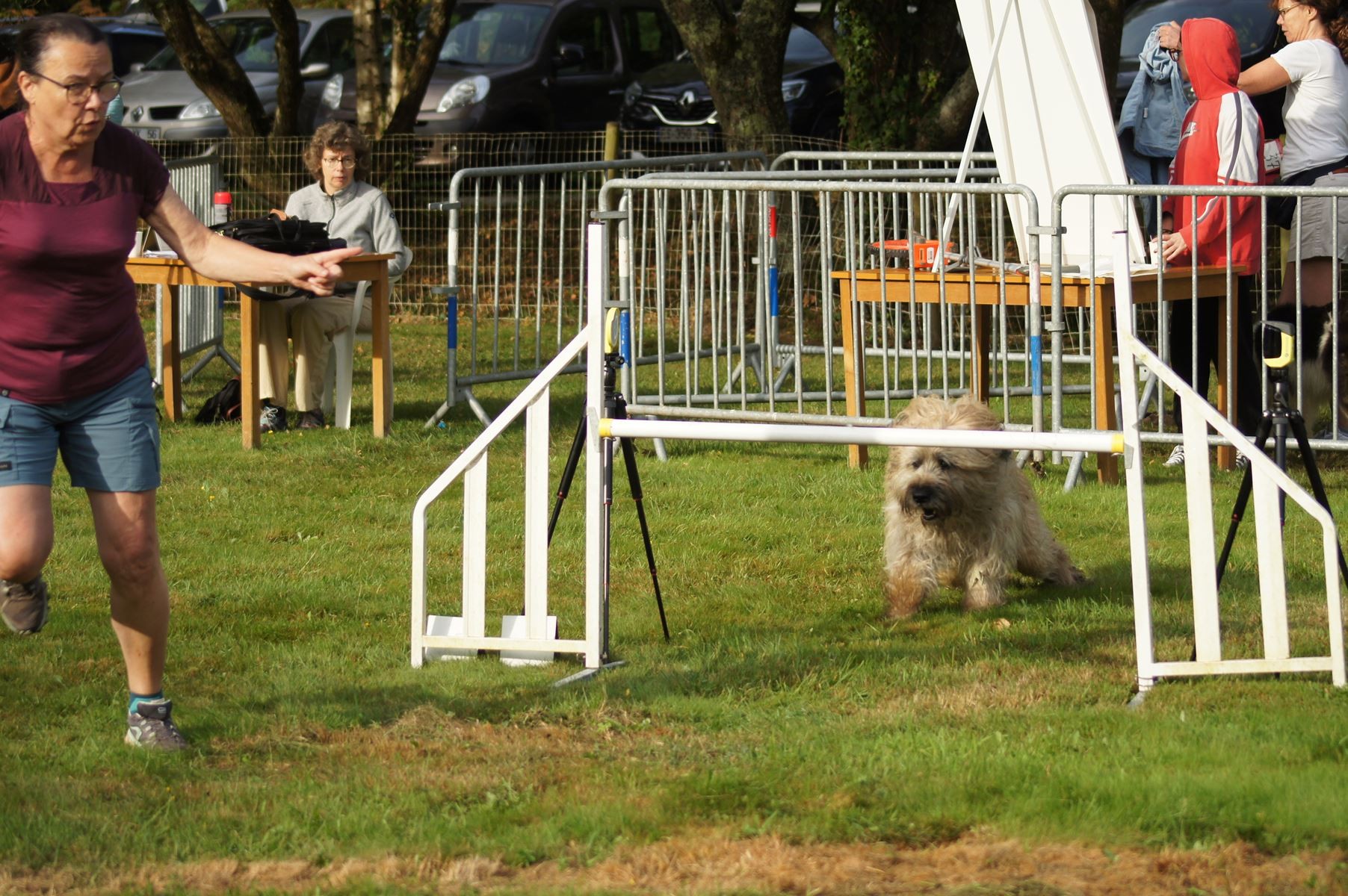  CONCOURS AGILITY 28 AOÛT 2022