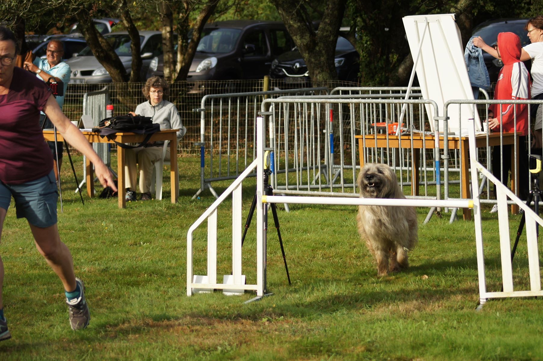  CONCOURS AGILITY 28 AOÛT 2022