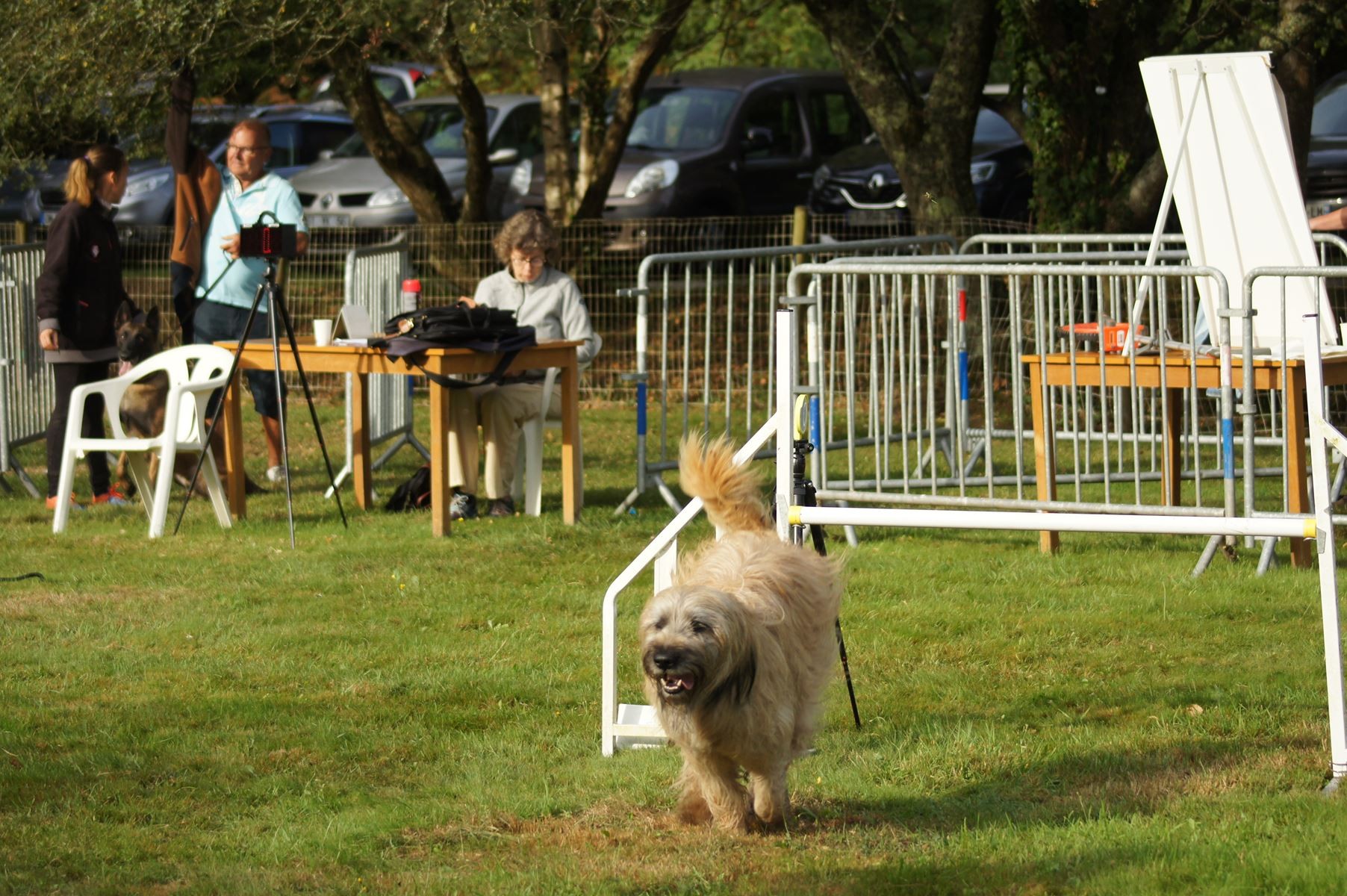  CONCOURS AGILITY 28 AOÛT 2022