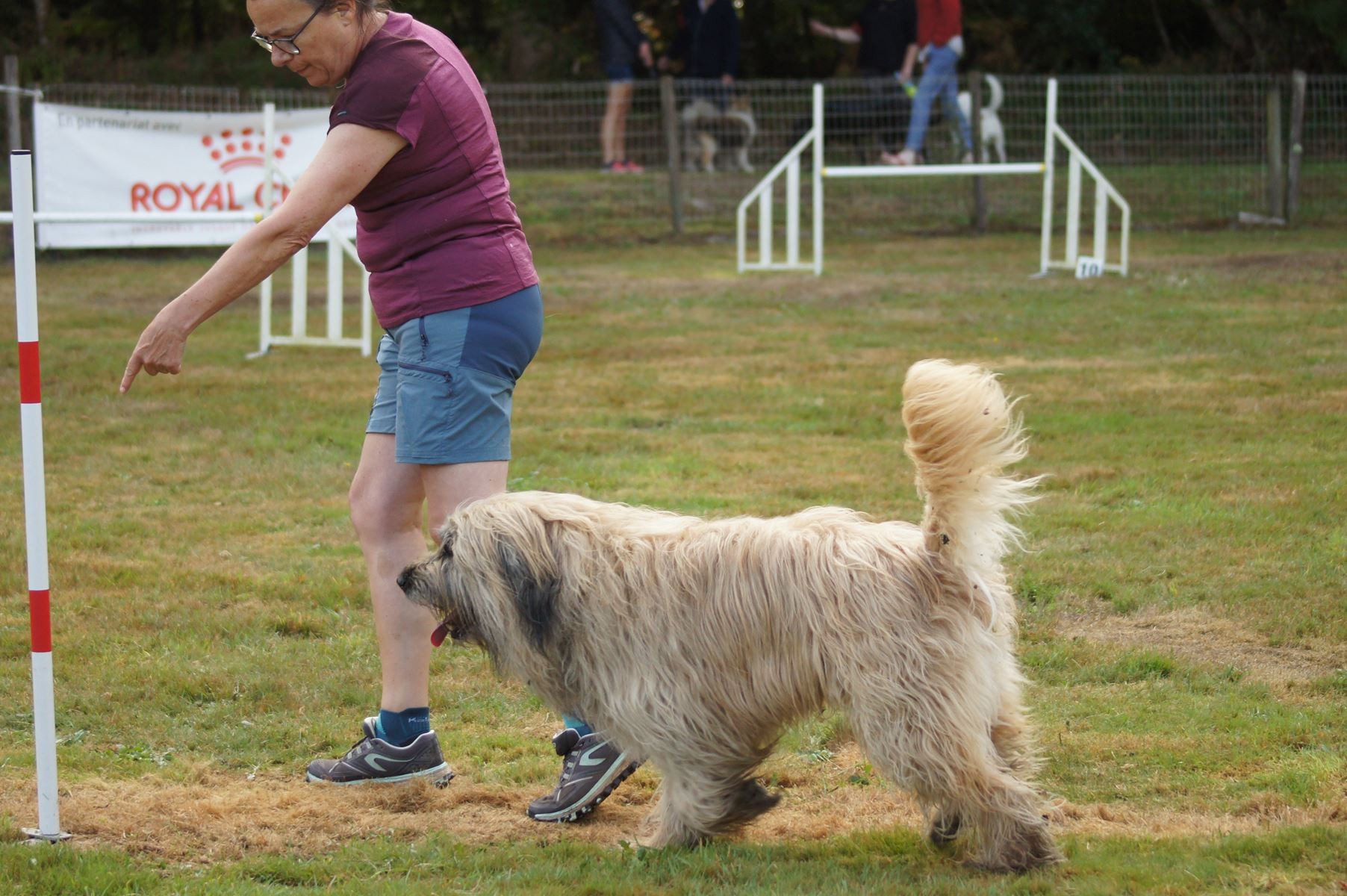  CONCOURS AGILITY 28 AOÛT 2022