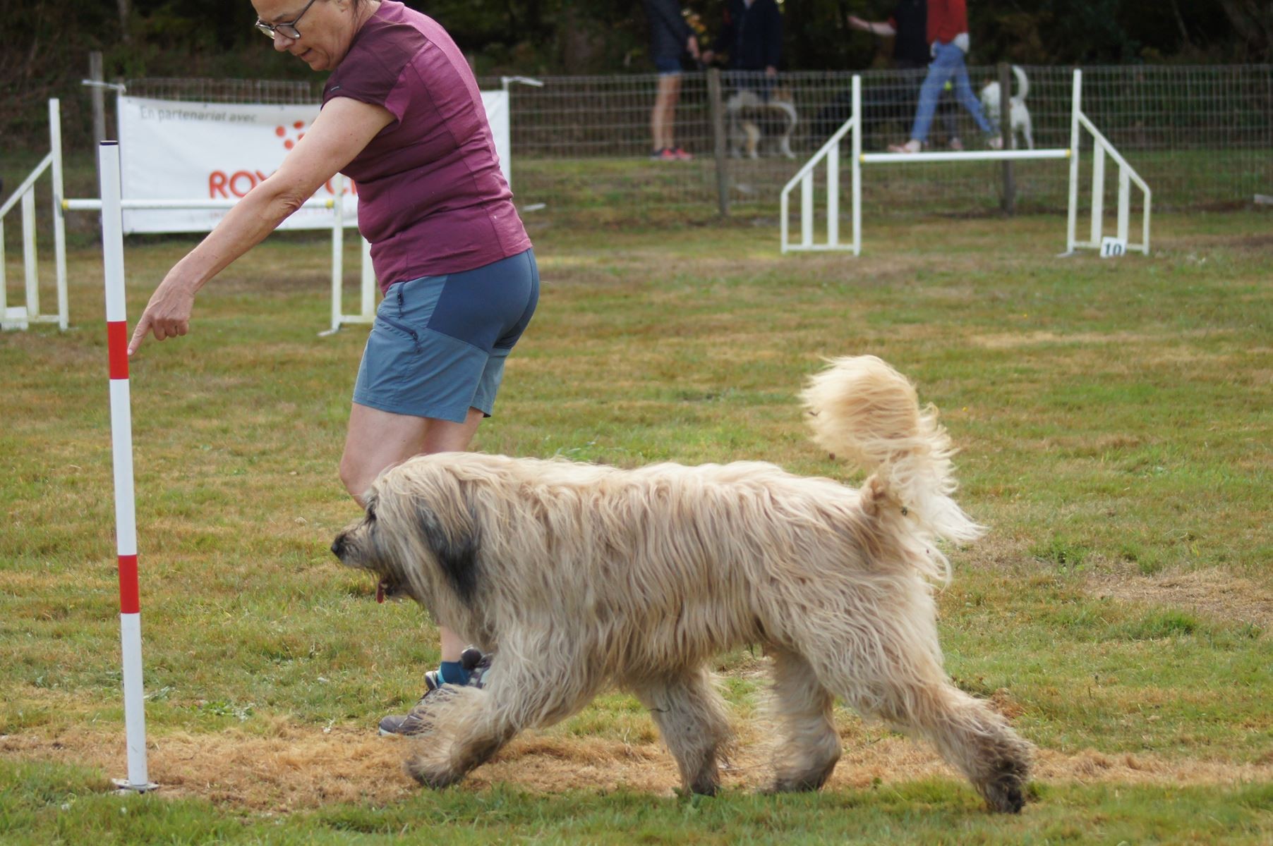  CONCOURS AGILITY 28 AOÛT 2022