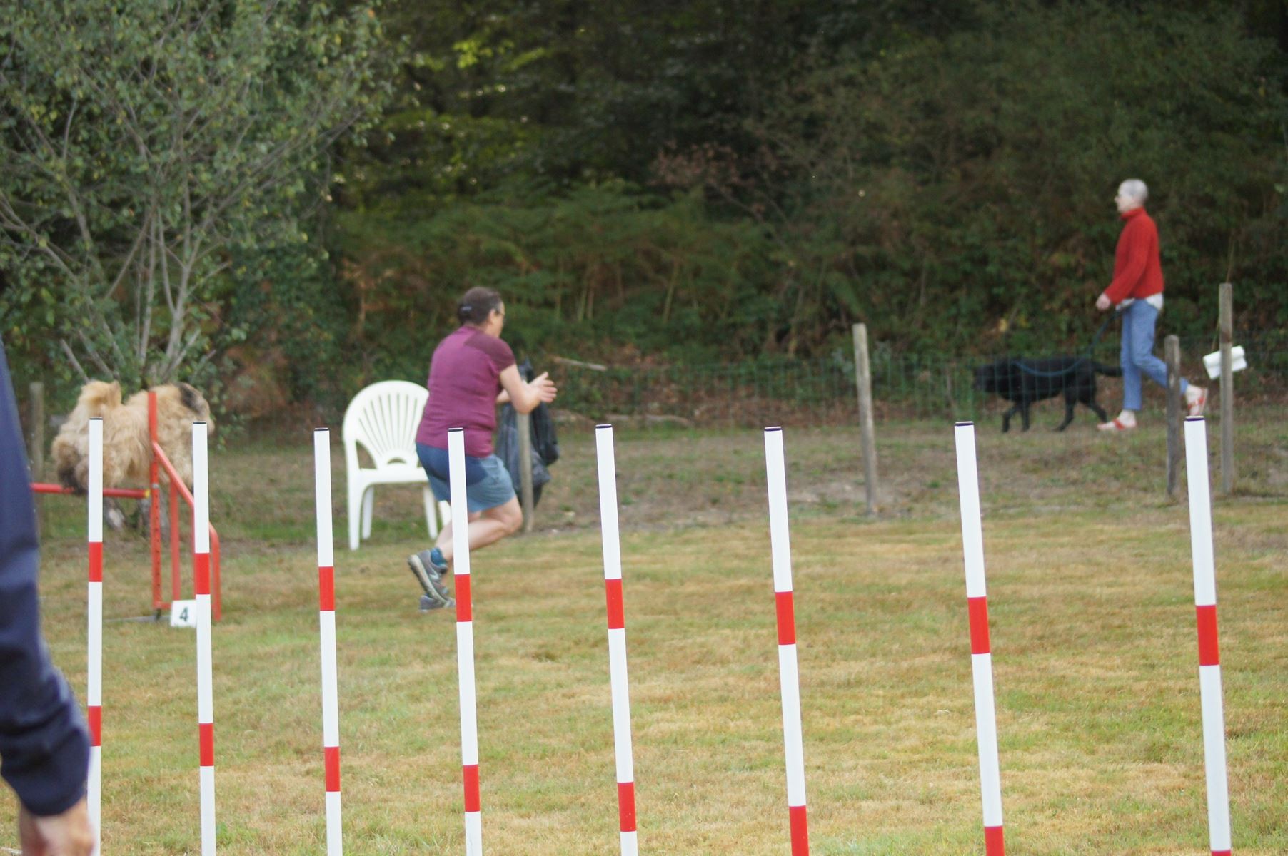  CONCOURS AGILITY 28 AOÛT 2022