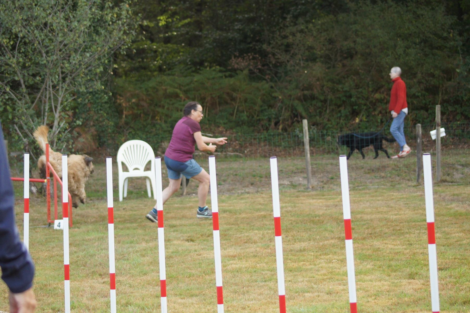  CONCOURS AGILITY 28 AOÛT 2022