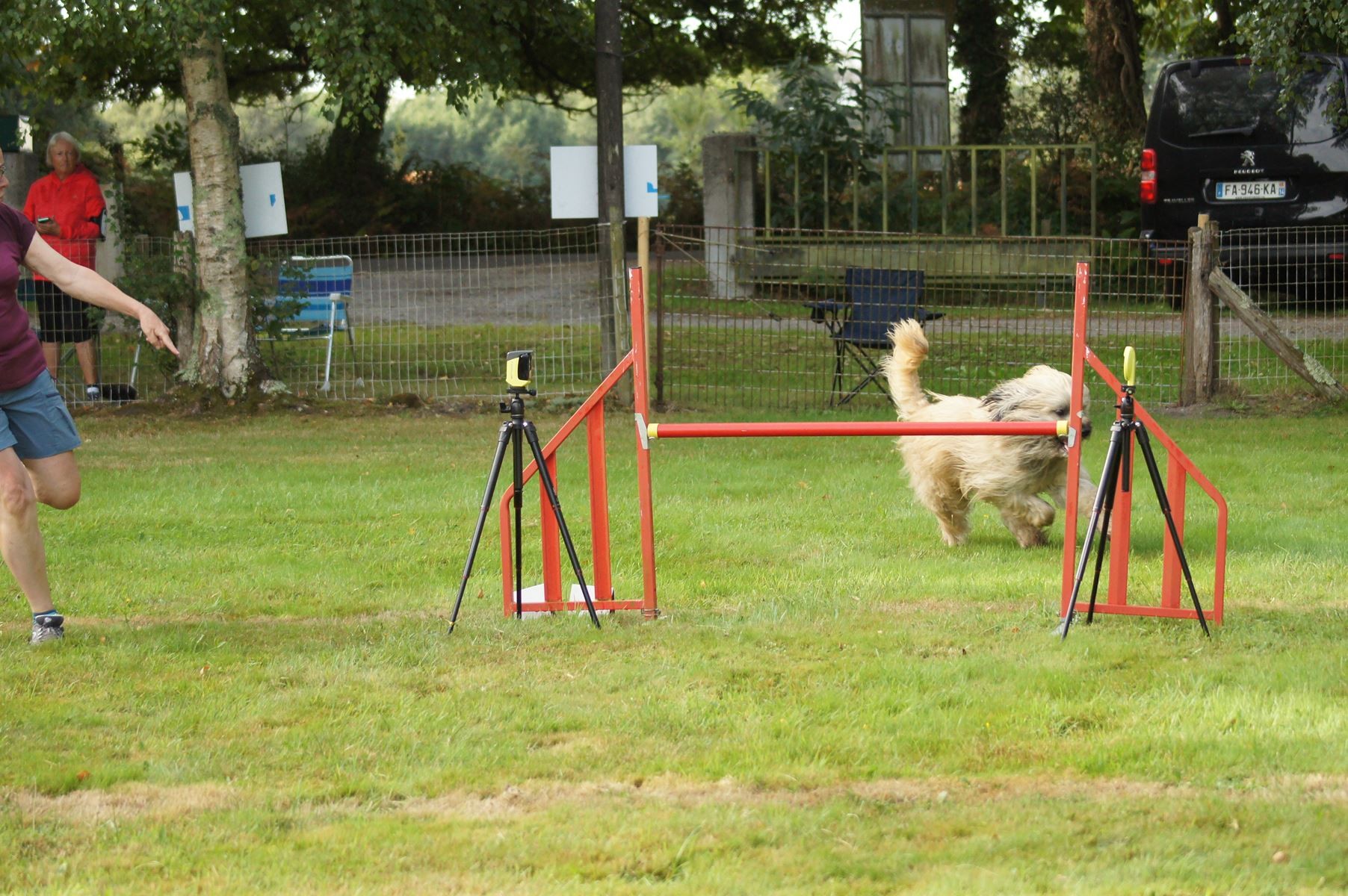  CONCOURS AGILITY 28 AOÛT 2022