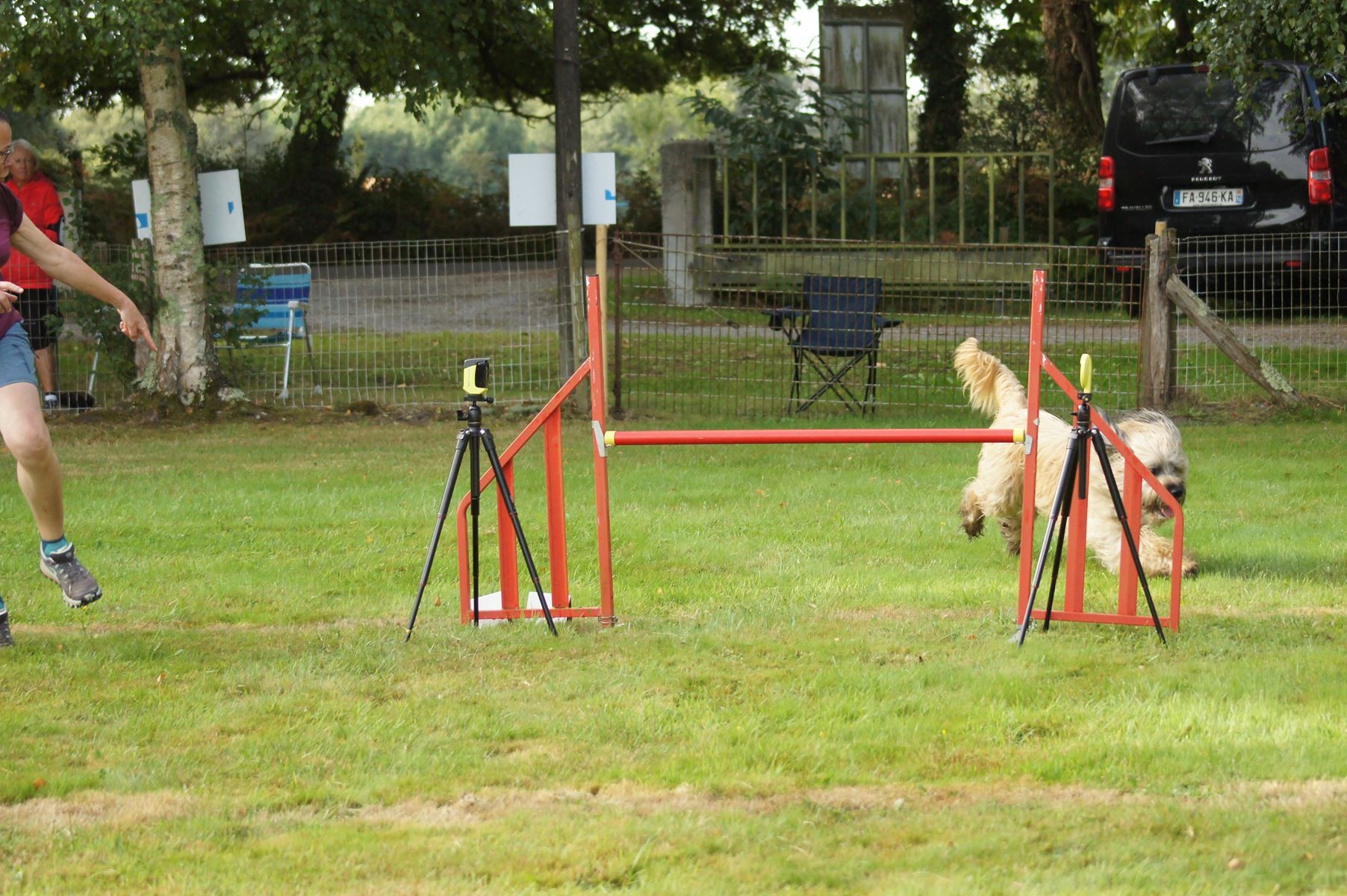  CONCOURS AGILITY 28 AOÛT 2022