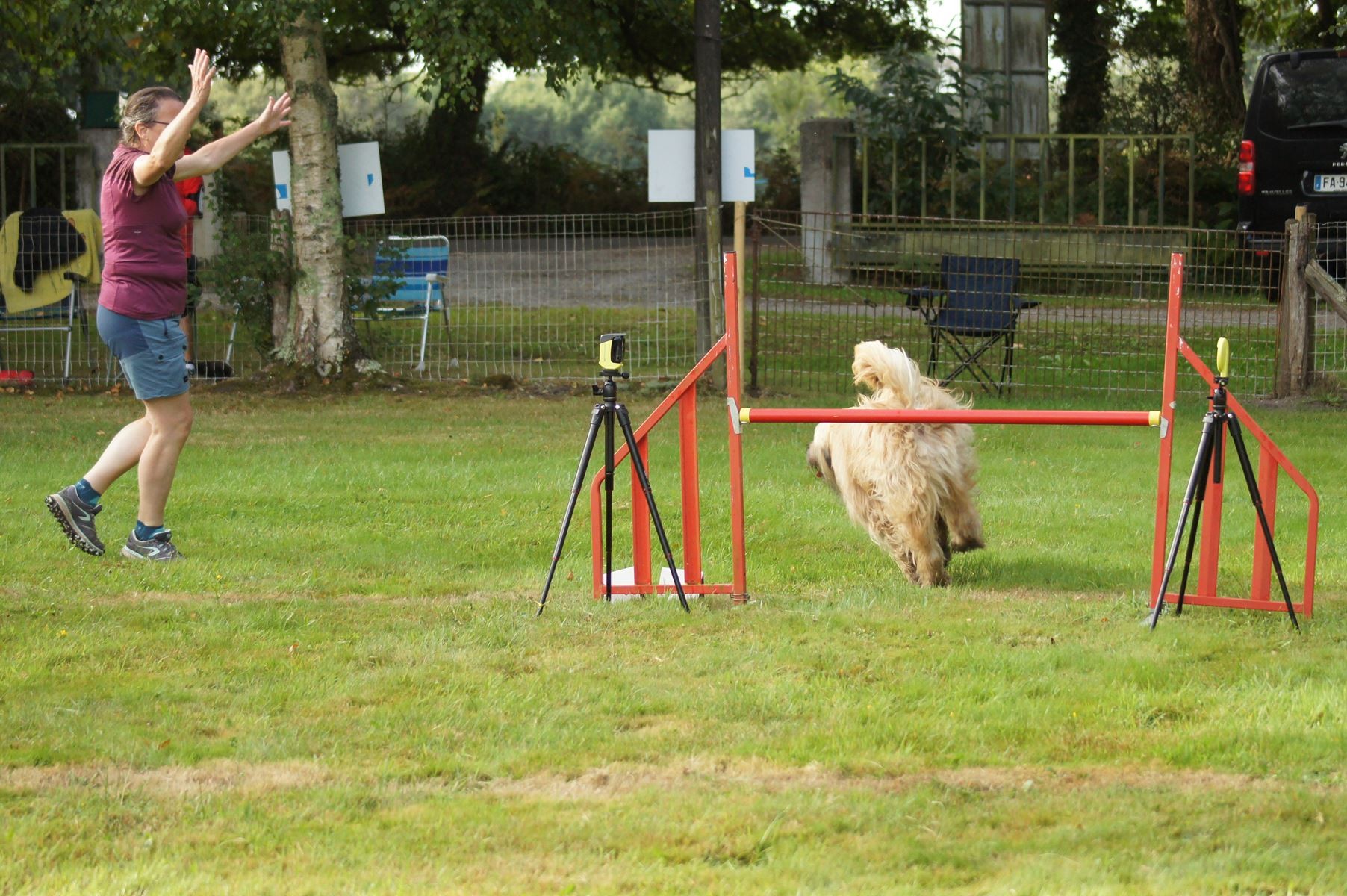  CONCOURS AGILITY 28 AOÛT 2022