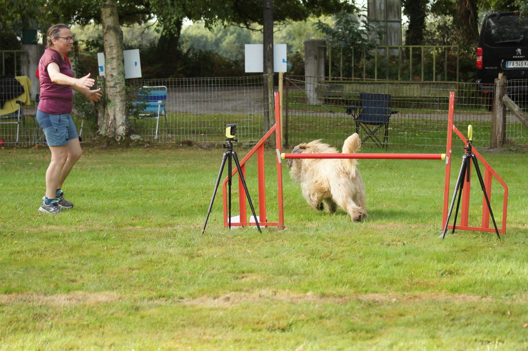  CONCOURS AGILITY 28 AOÛT 2022