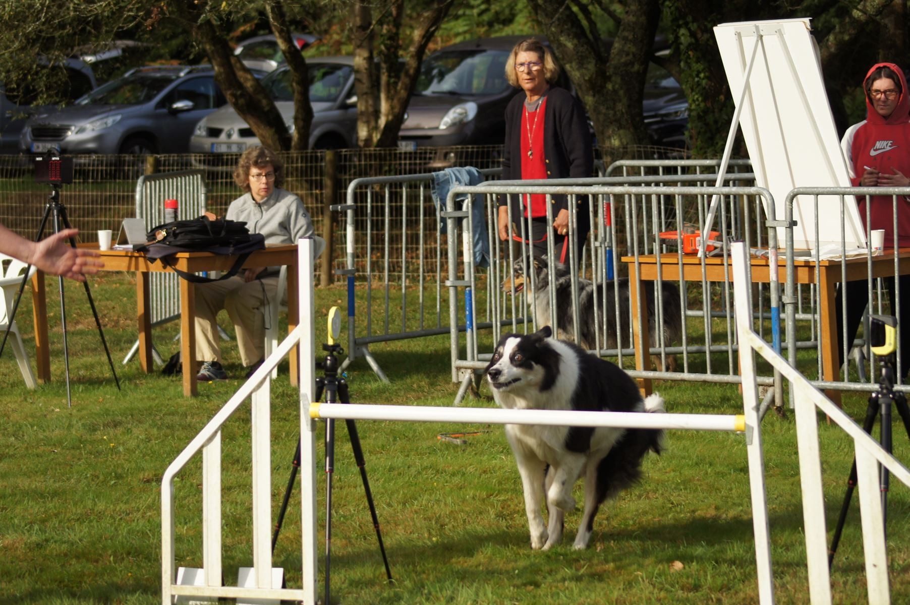  CONCOURS AGILITY 28 AOÛT 2022