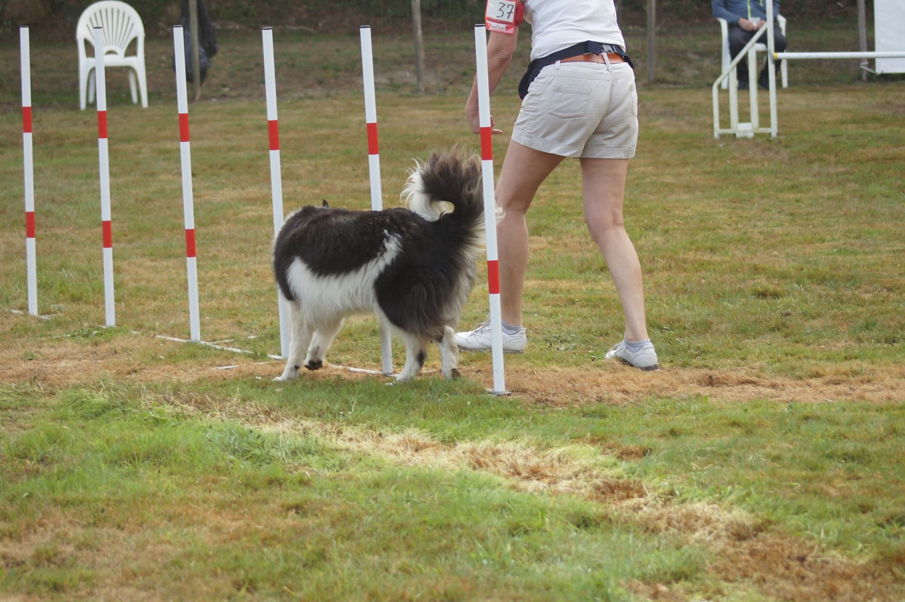  CONCOURS AGILITY 28 AOÛT 2022