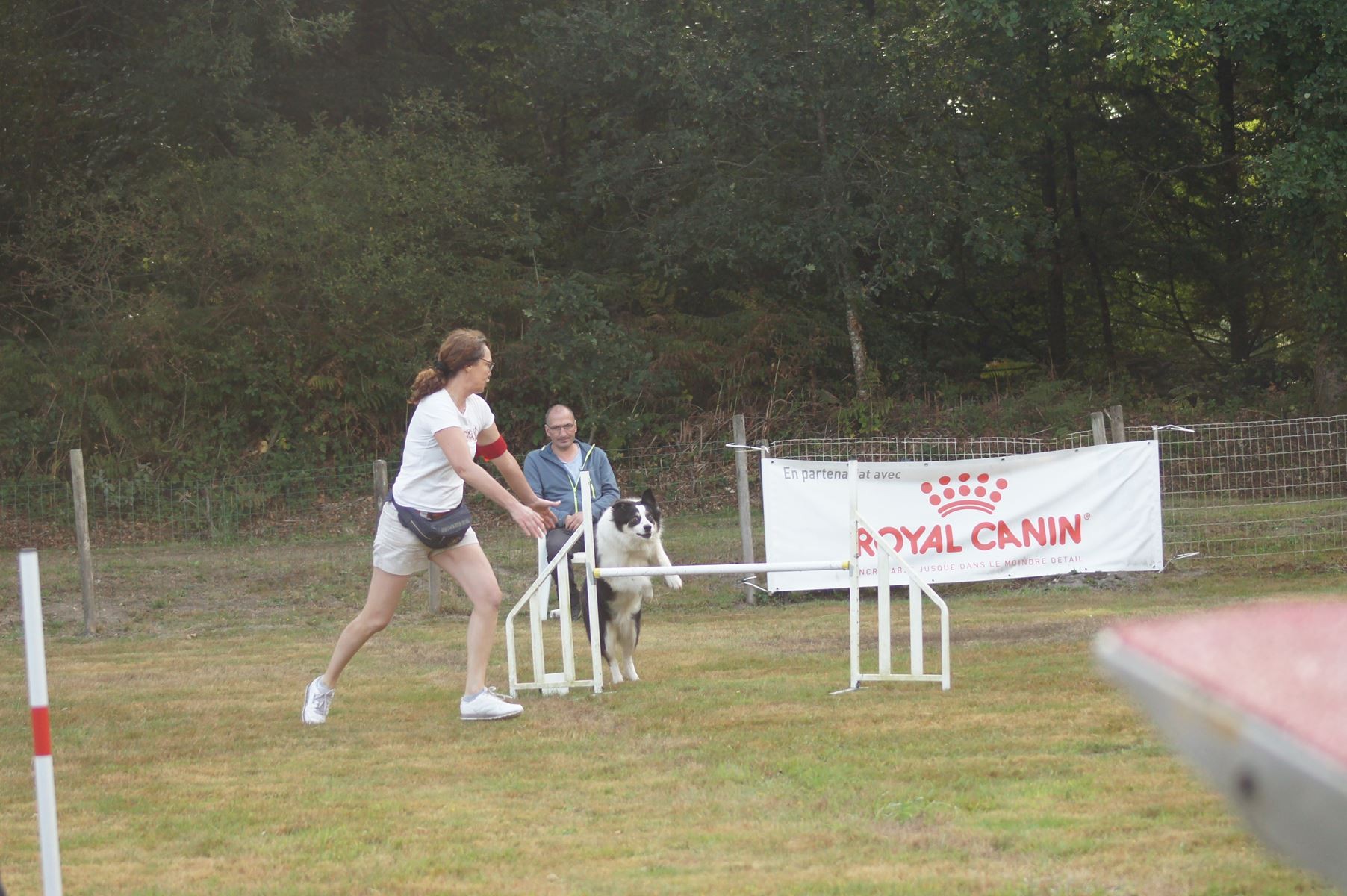  CONCOURS AGILITY 28 AOÛT 2022