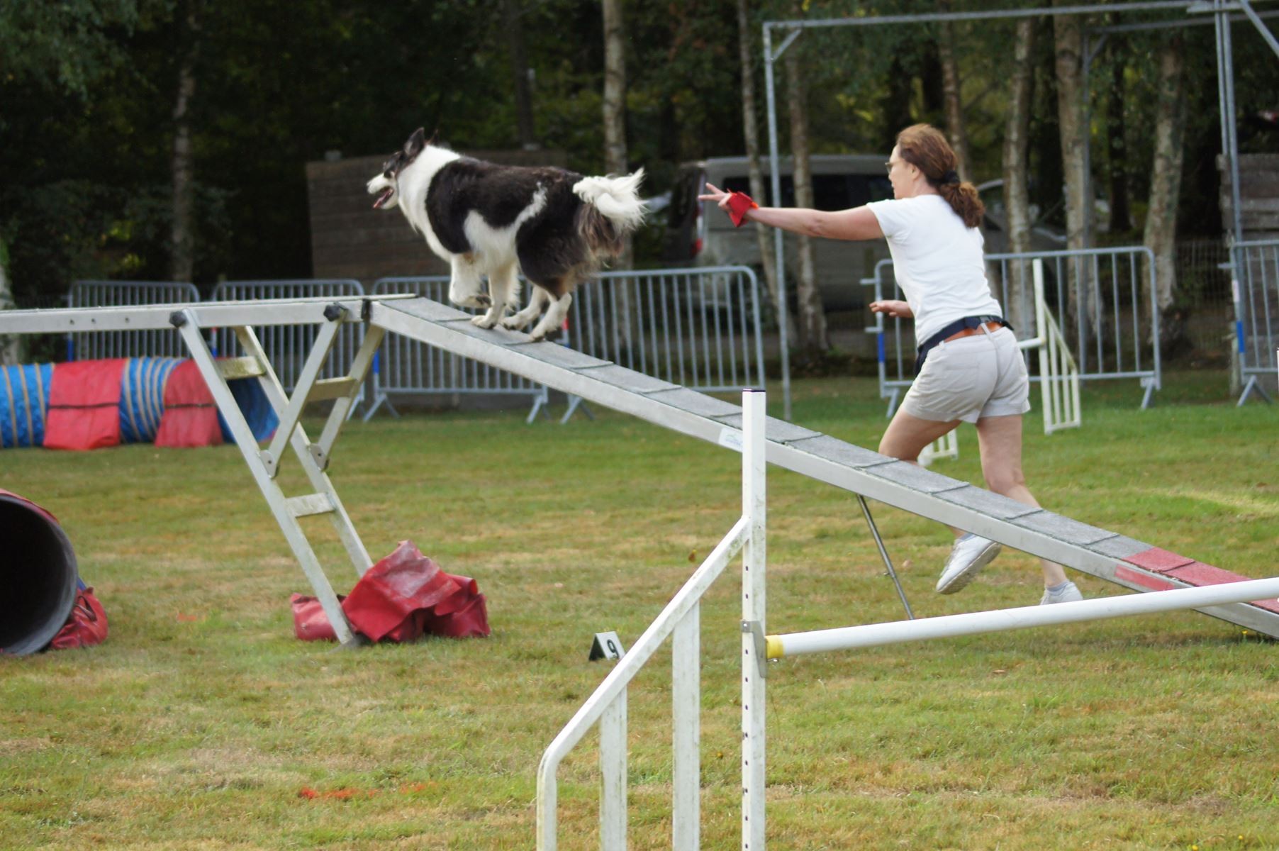  CONCOURS AGILITY 28 AOÛT 2022