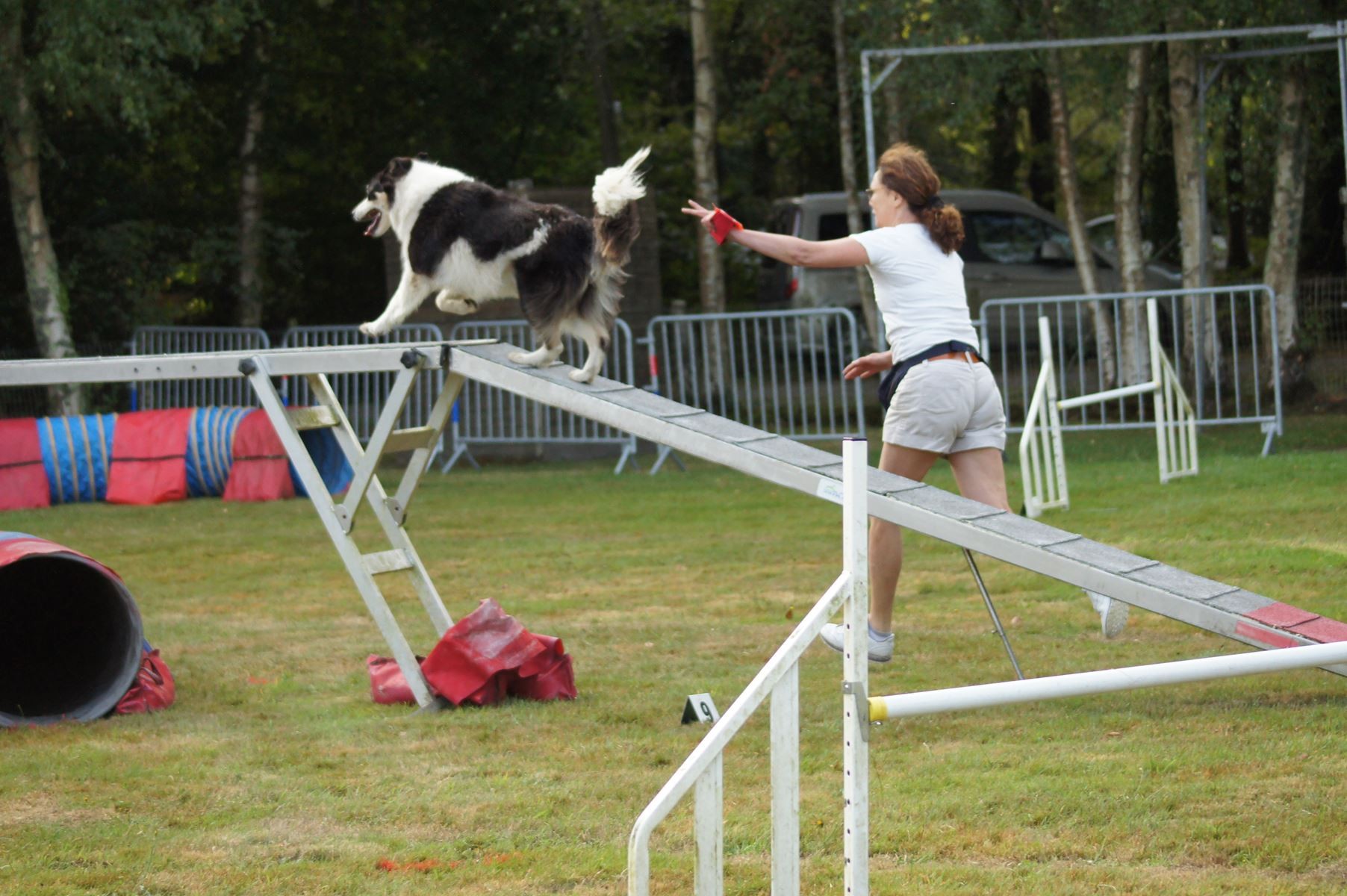  CONCOURS AGILITY 28 AOÛT 2022