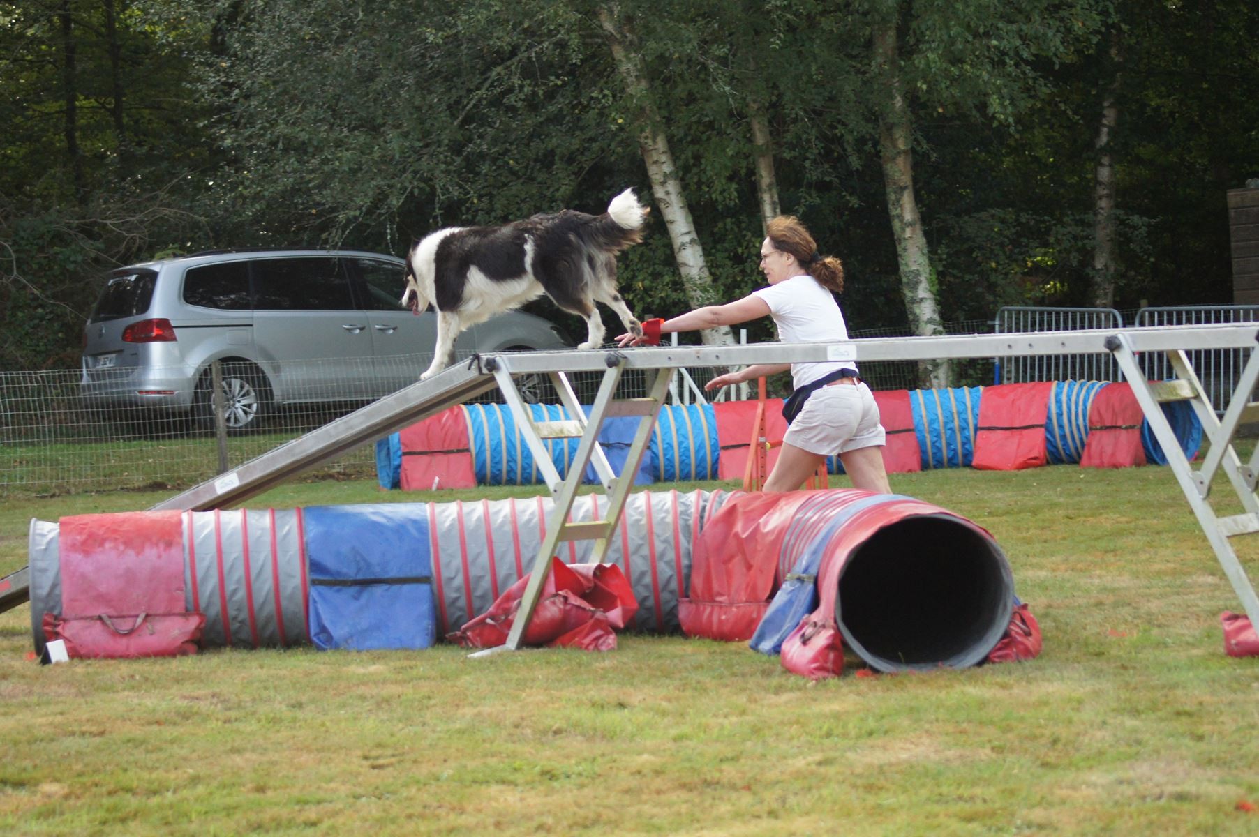  CONCOURS AGILITY 28 AOÛT 2022