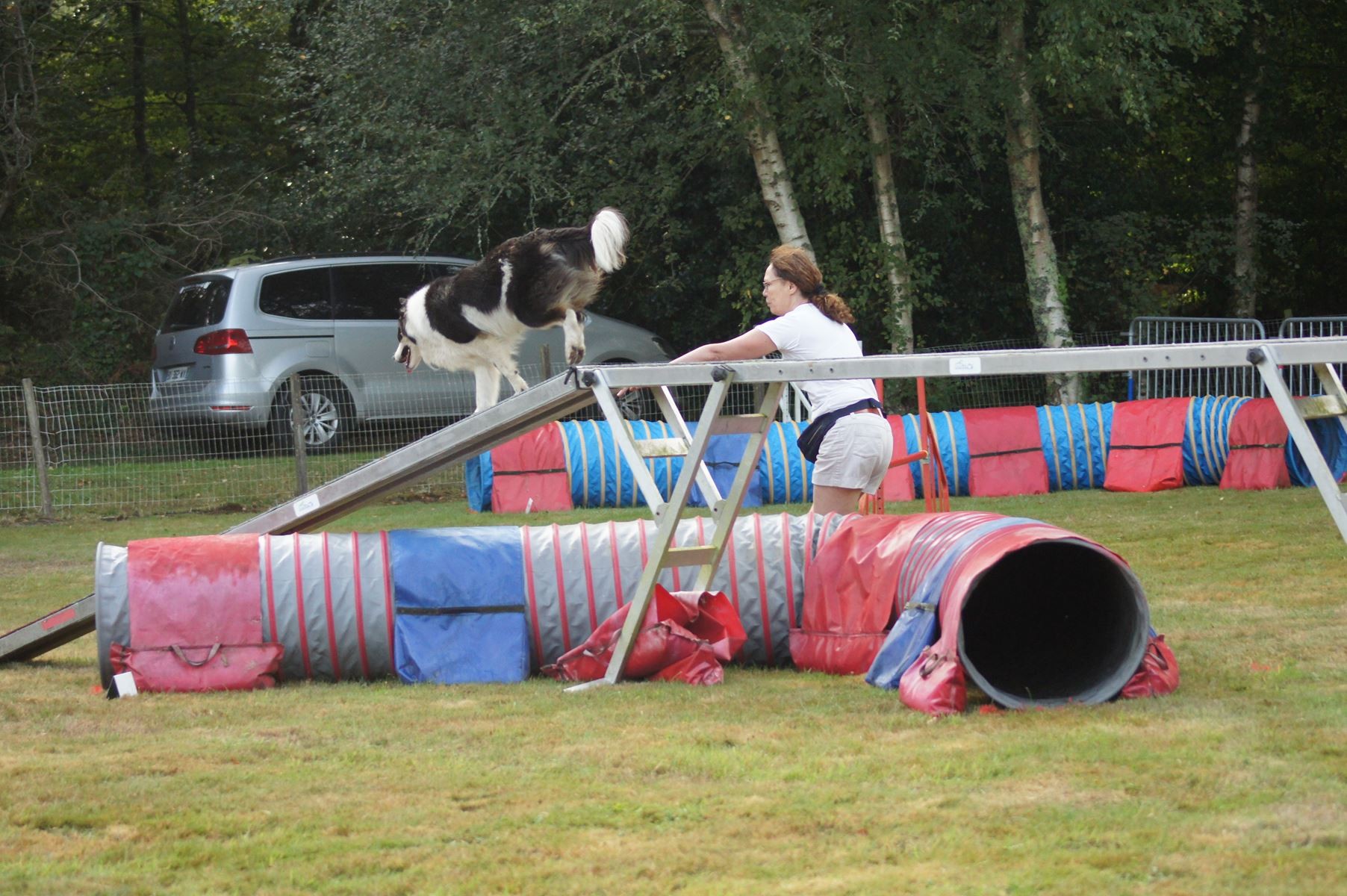  CONCOURS AGILITY 28 AOÛT 2022