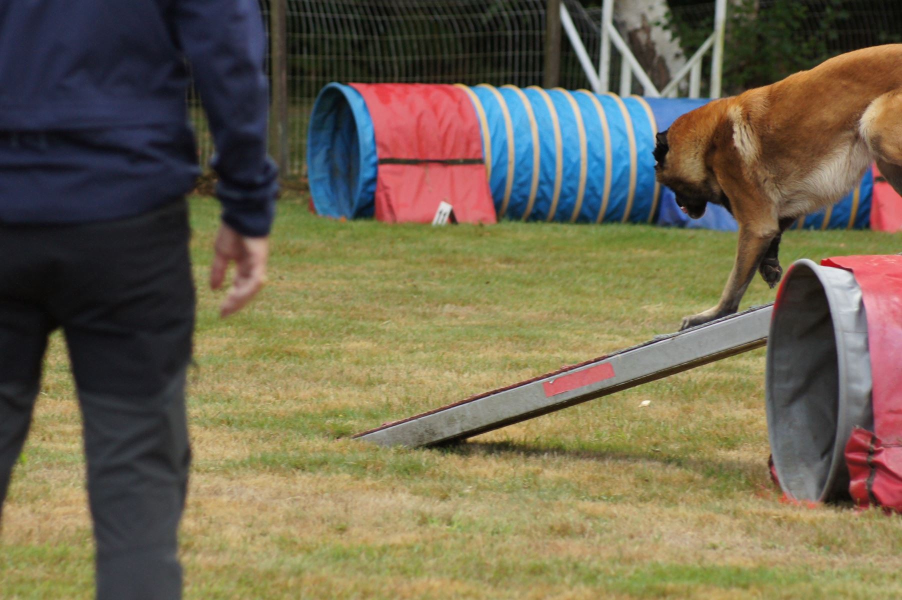  CONCOURS AGILITY 28 AOÛT 2022