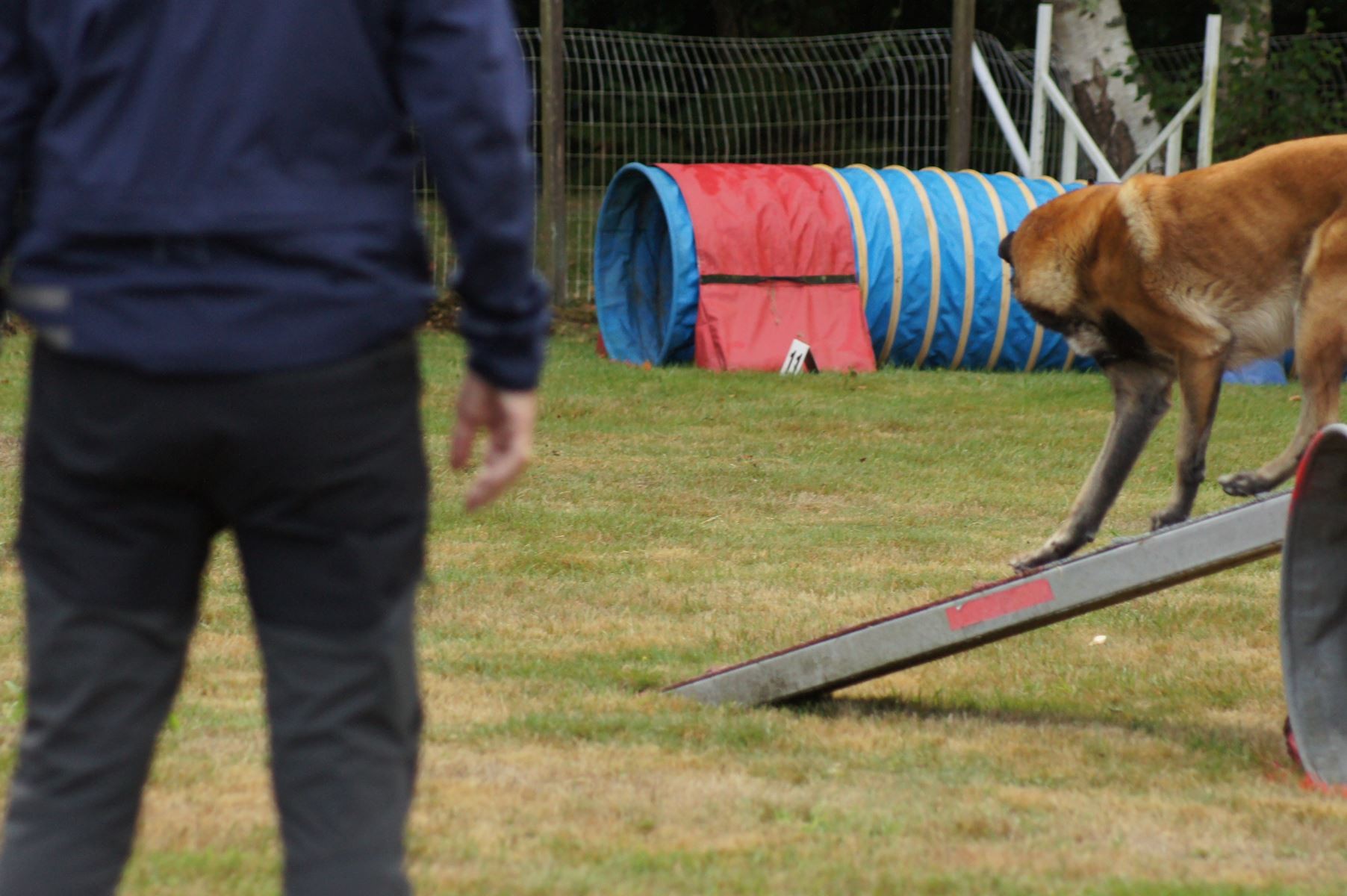  CONCOURS AGILITY 28 AOÛT 2022