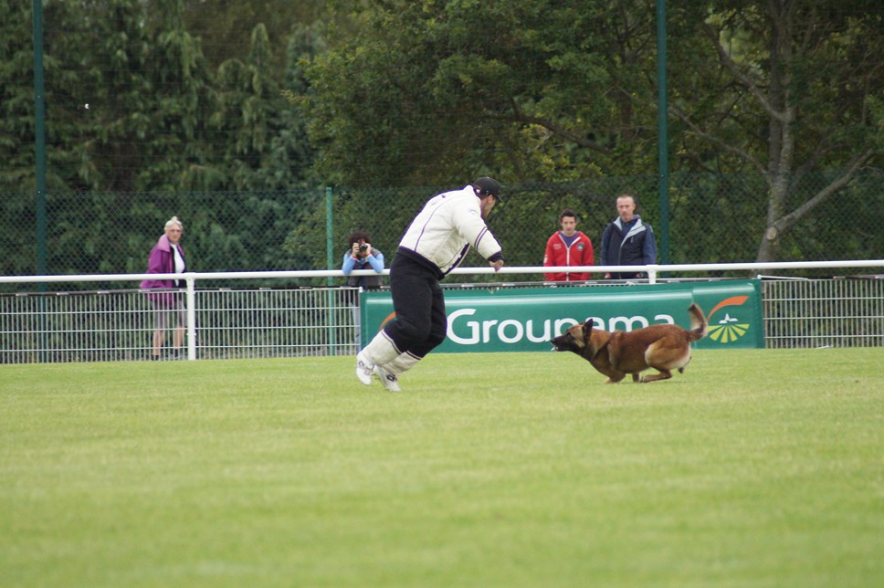 Championnat de France RING 29 ET 30 JUIN 2013 A QUIMPERLE