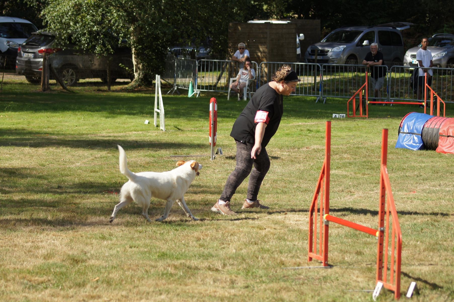  CONCOURS AGILITY 28 AOÛT 2022