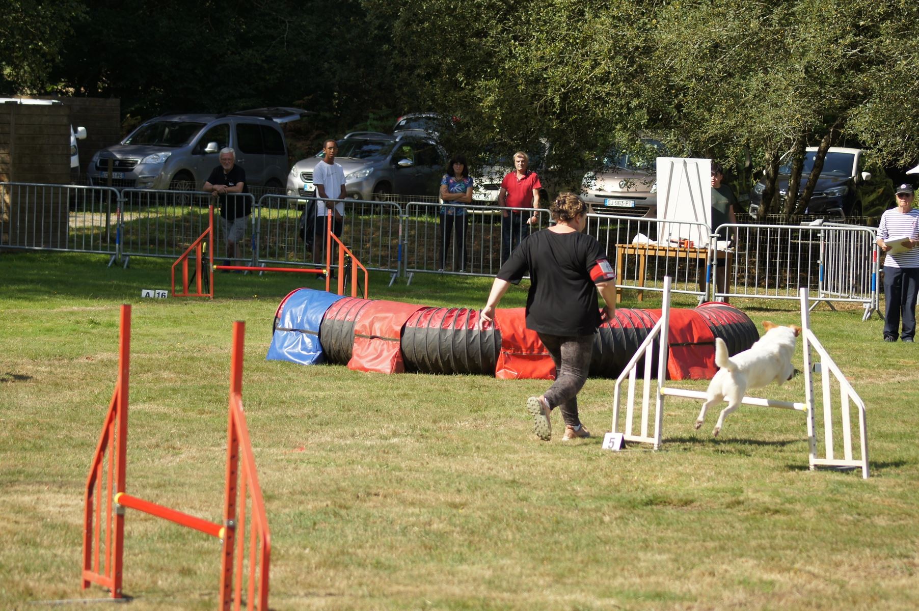  CONCOURS AGILITY 28 AOÛT 2022