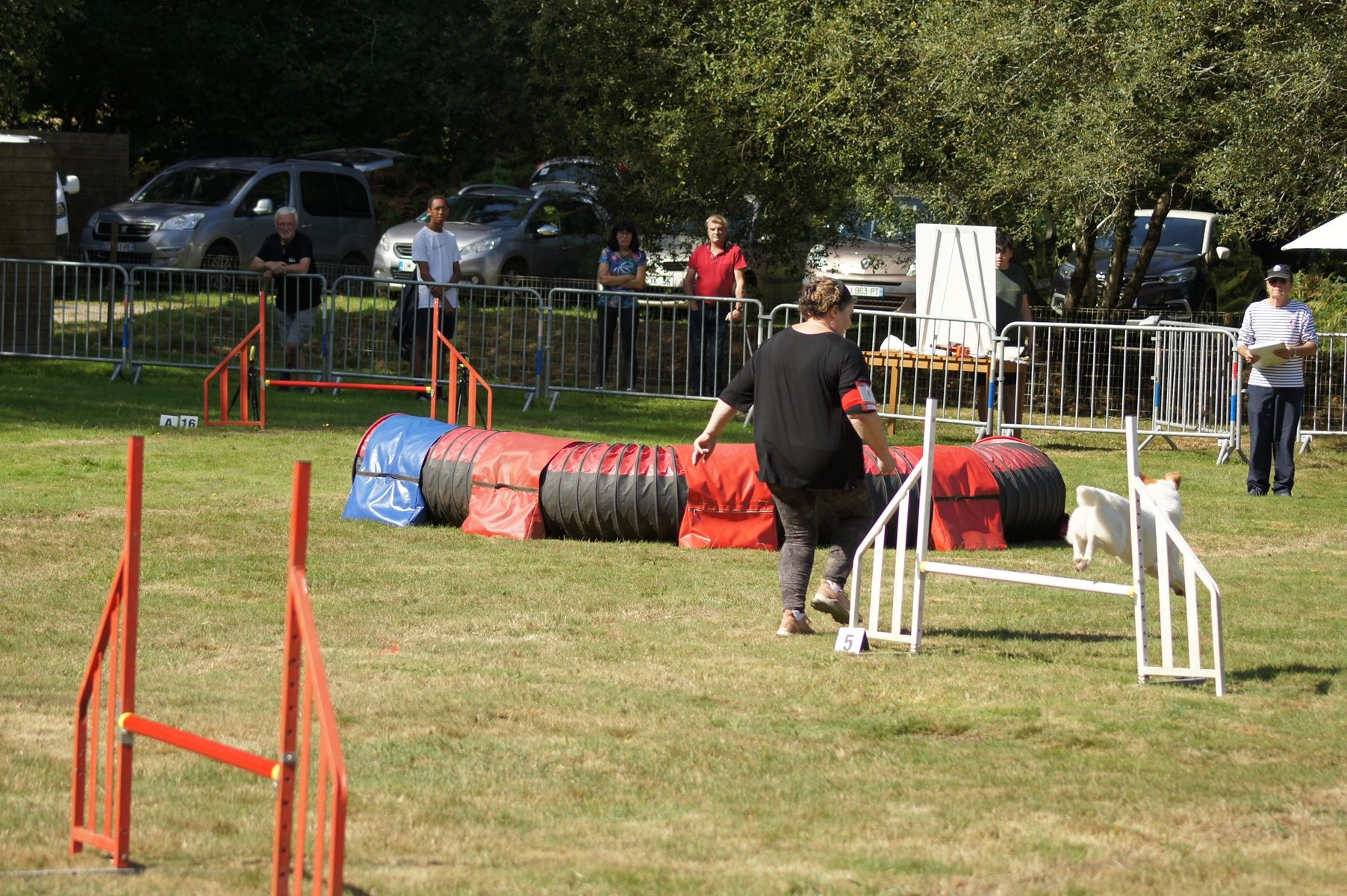  CONCOURS AGILITY 28 AOÛT 2022