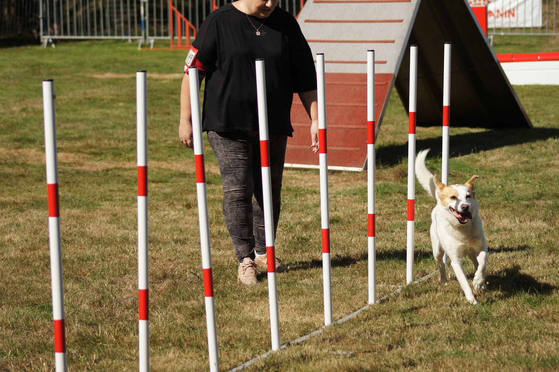  CONCOURS AGILITY 28 AOÛT 2022