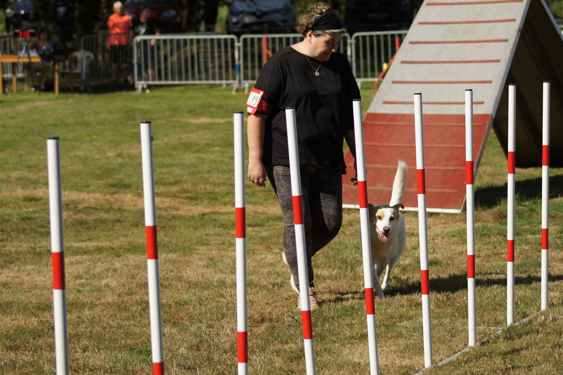  CONCOURS AGILITY 28 AOÛT 2022