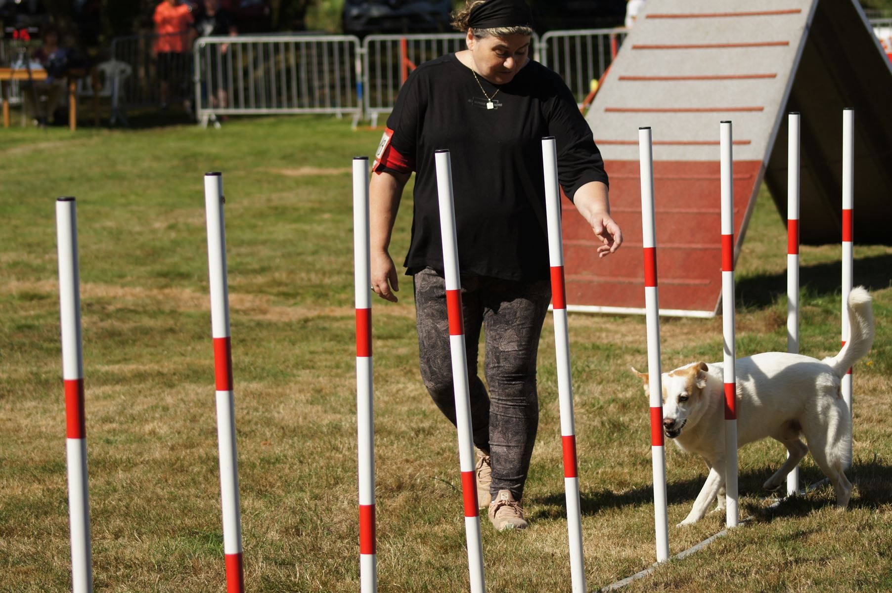  CONCOURS AGILITY 28 AOÛT 2022