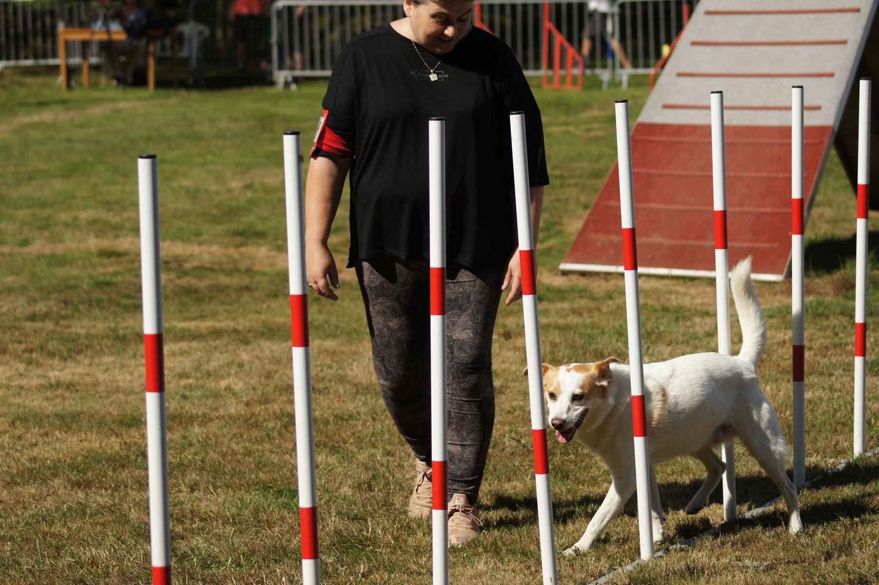  CONCOURS AGILITY 28 AOÛT 2022