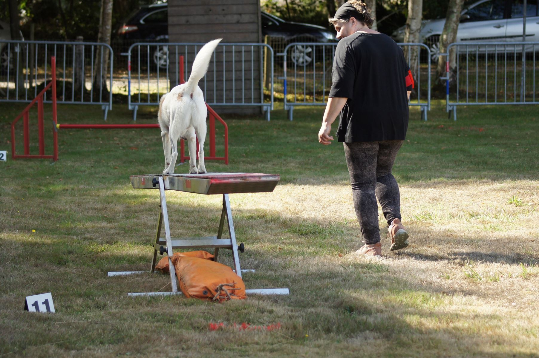  CONCOURS AGILITY 28 AOÛT 2022