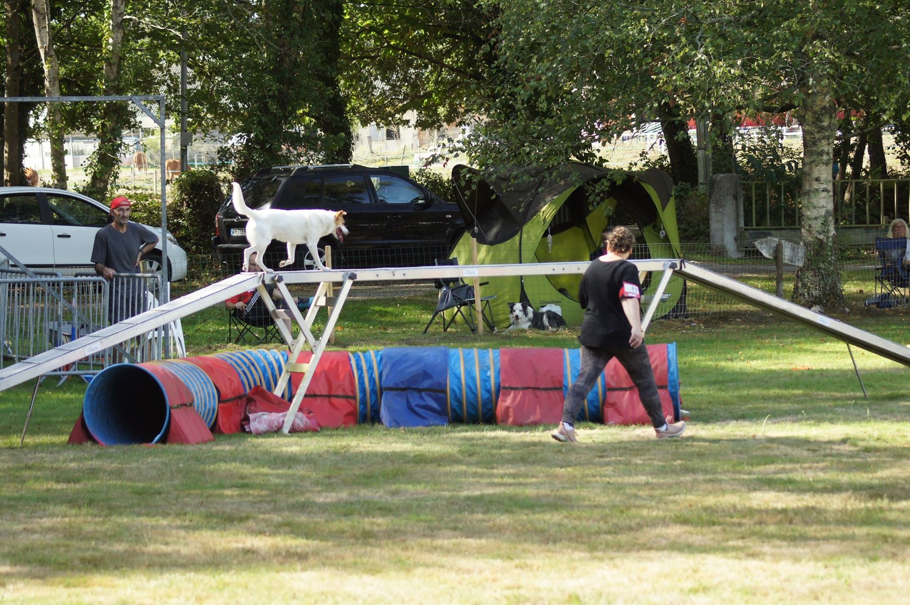  CONCOURS AGILITY 28 AOÛT 2022