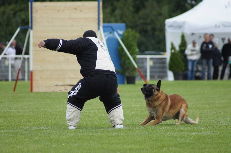 Championnat de France RING 29 ET 30 JUIN 2013 A QUIMPERLE