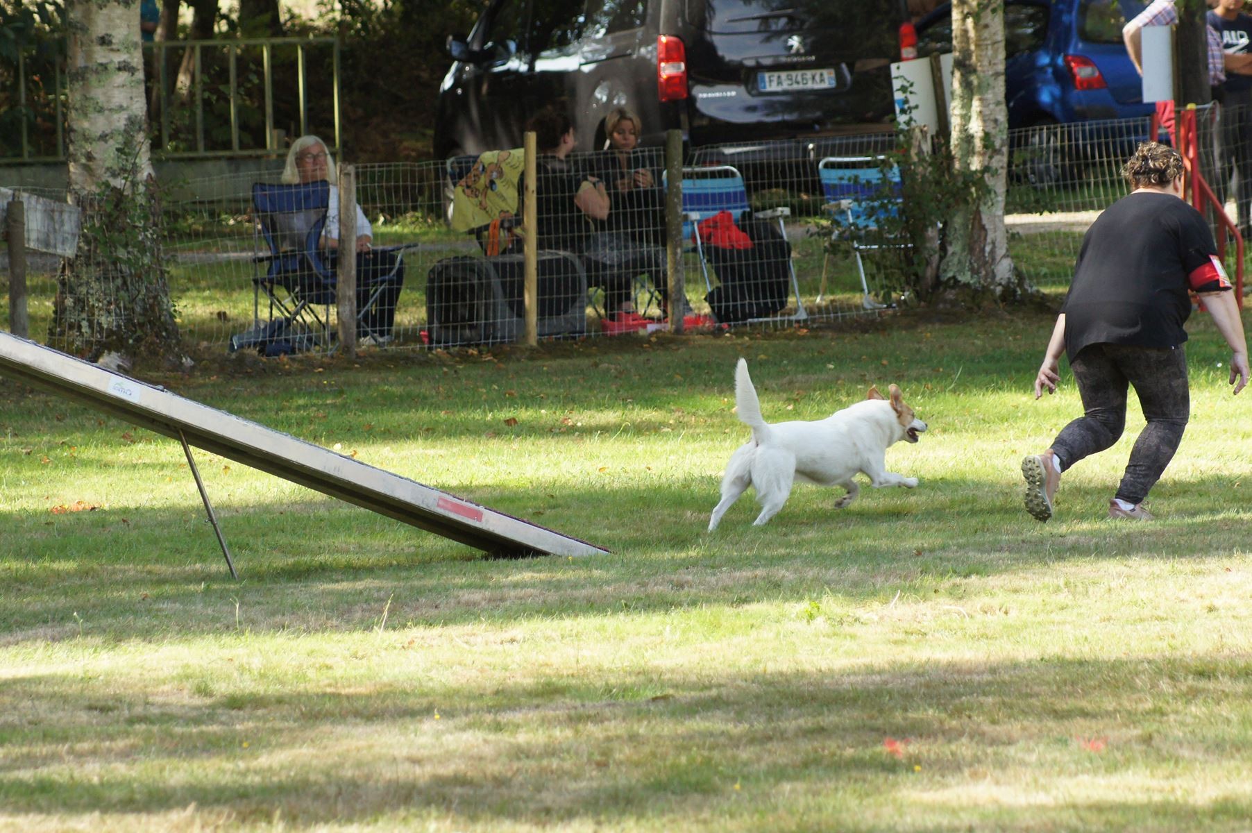  CONCOURS AGILITY 28 AOÛT 2022