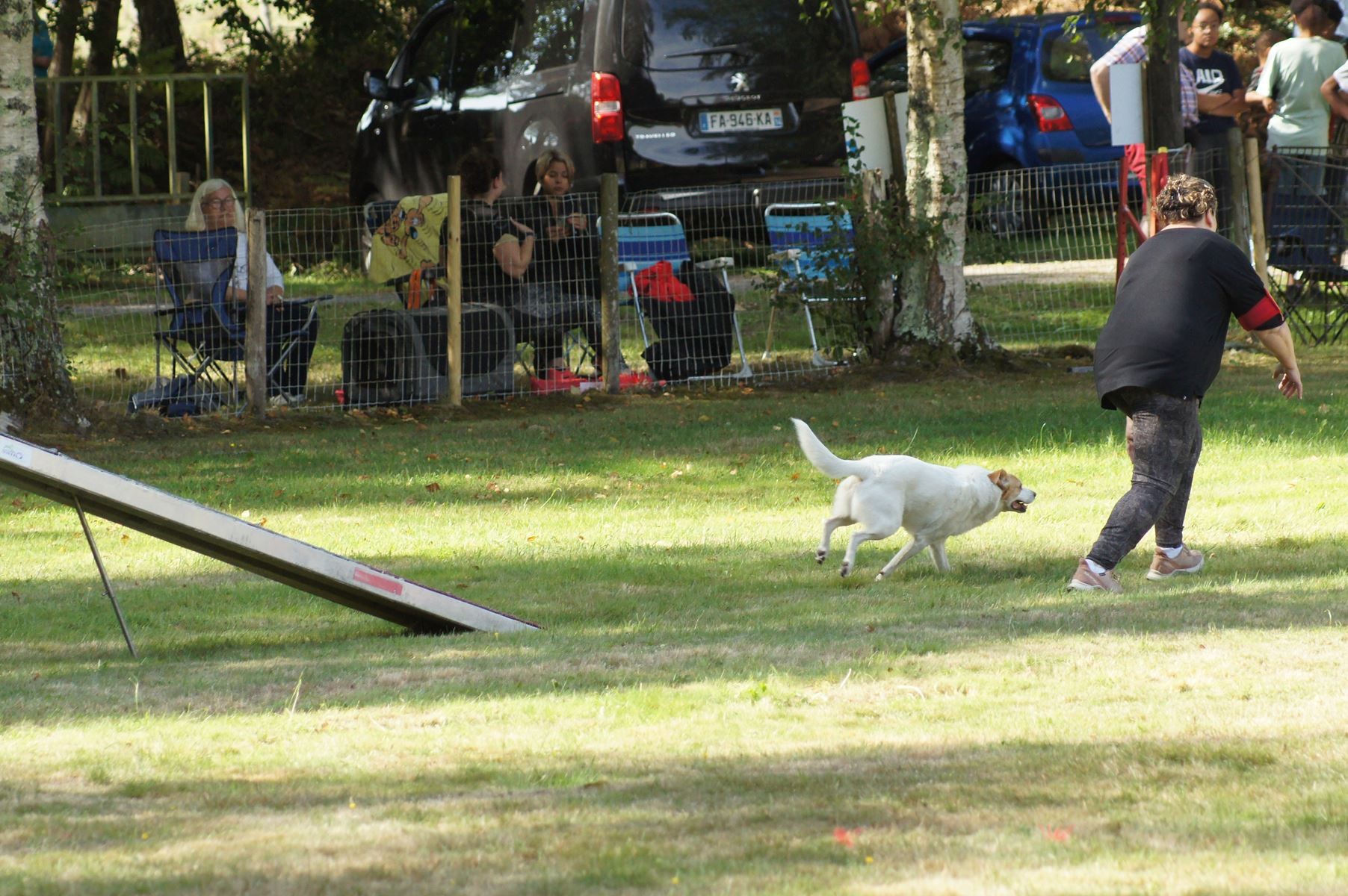  CONCOURS AGILITY 28 AOÛT 2022