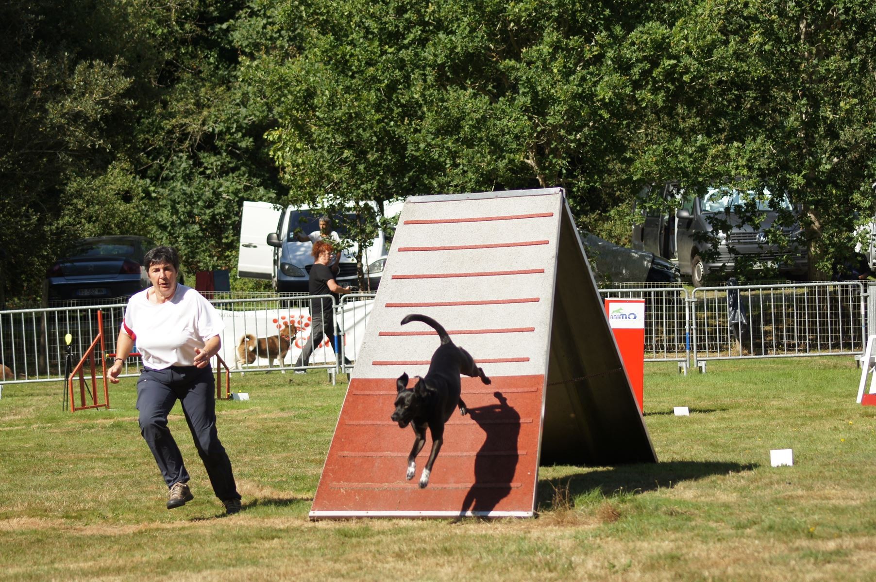  CONCOURS AGILITY 28 AOÛT 2022