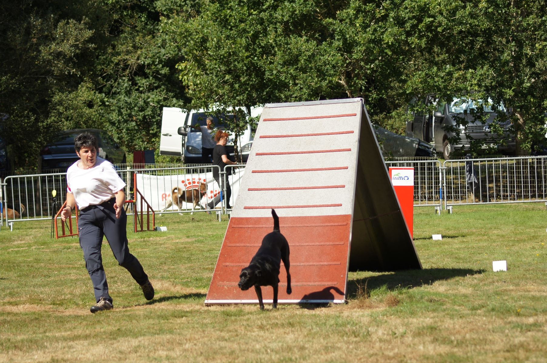  CONCOURS AGILITY 28 AOÛT 2022