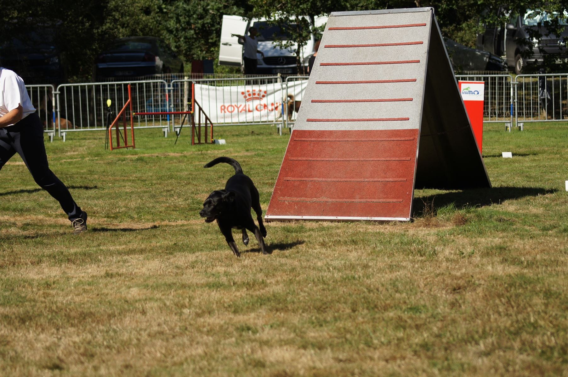  CONCOURS AGILITY 28 AOÛT 2022