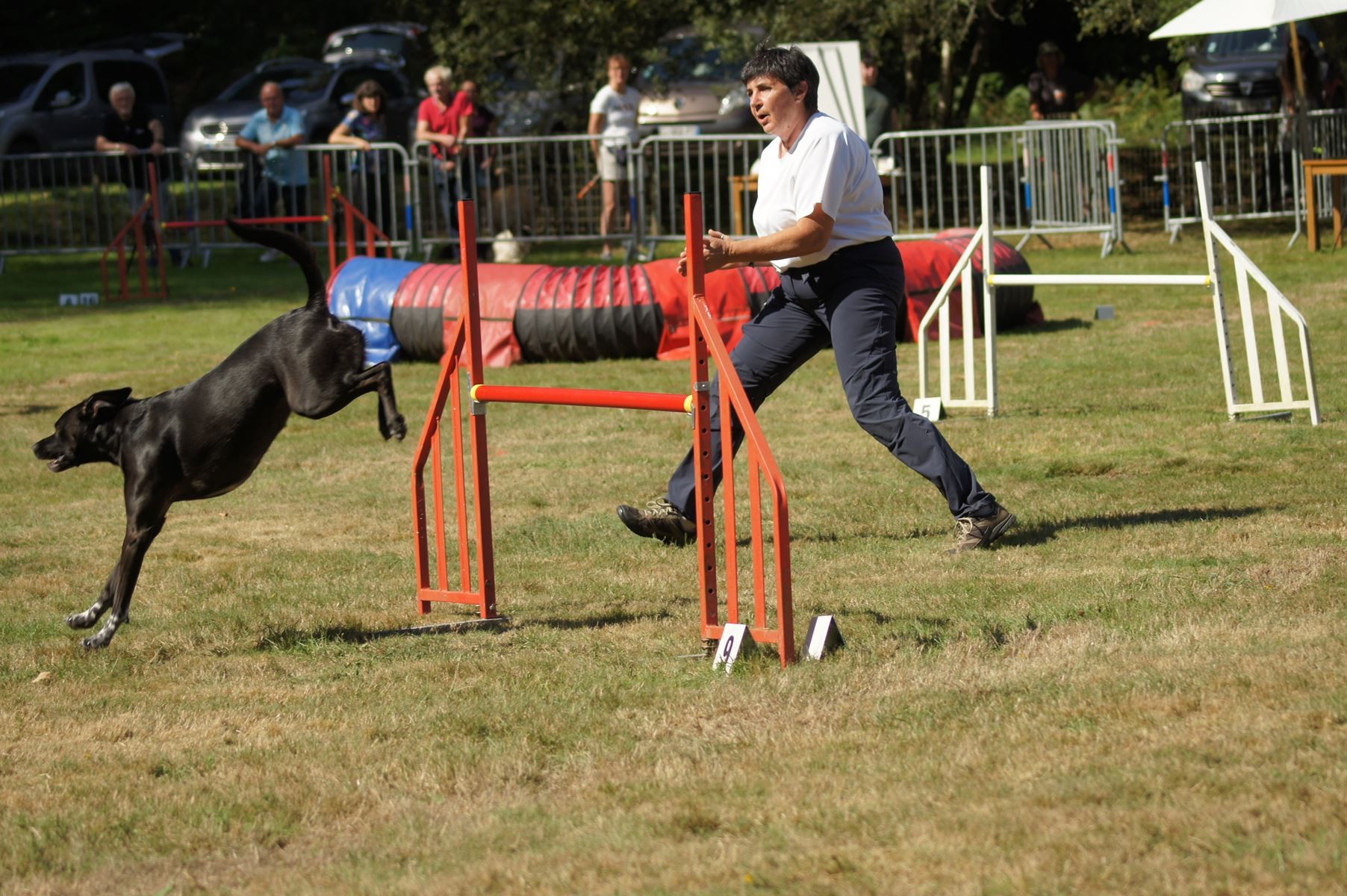  CONCOURS AGILITY 28 AOÛT 2022