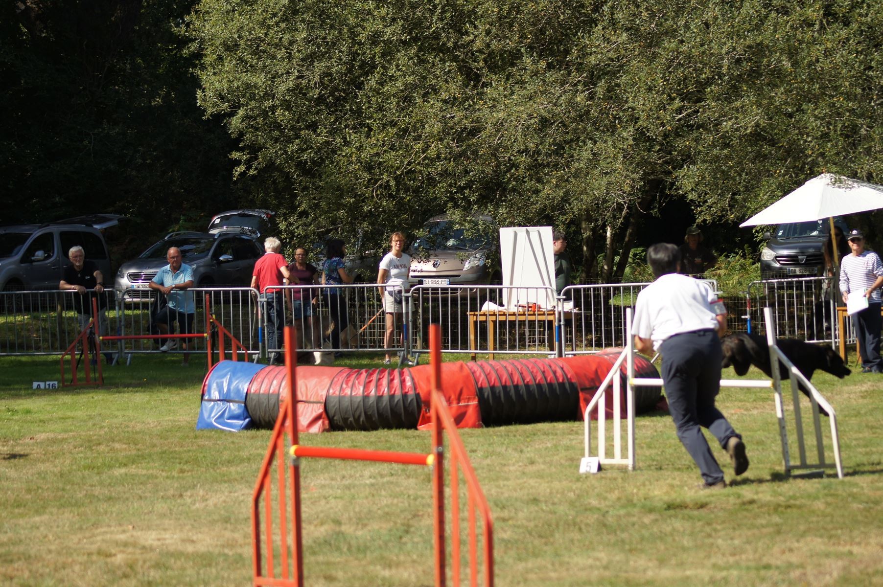  CONCOURS AGILITY 28 AOÛT 2022