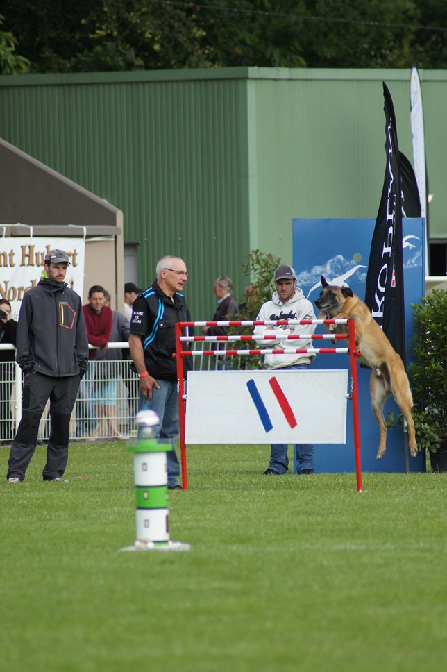 Championnat de France RING 29 ET 30 JUIN 2013 A QUIMPERLE