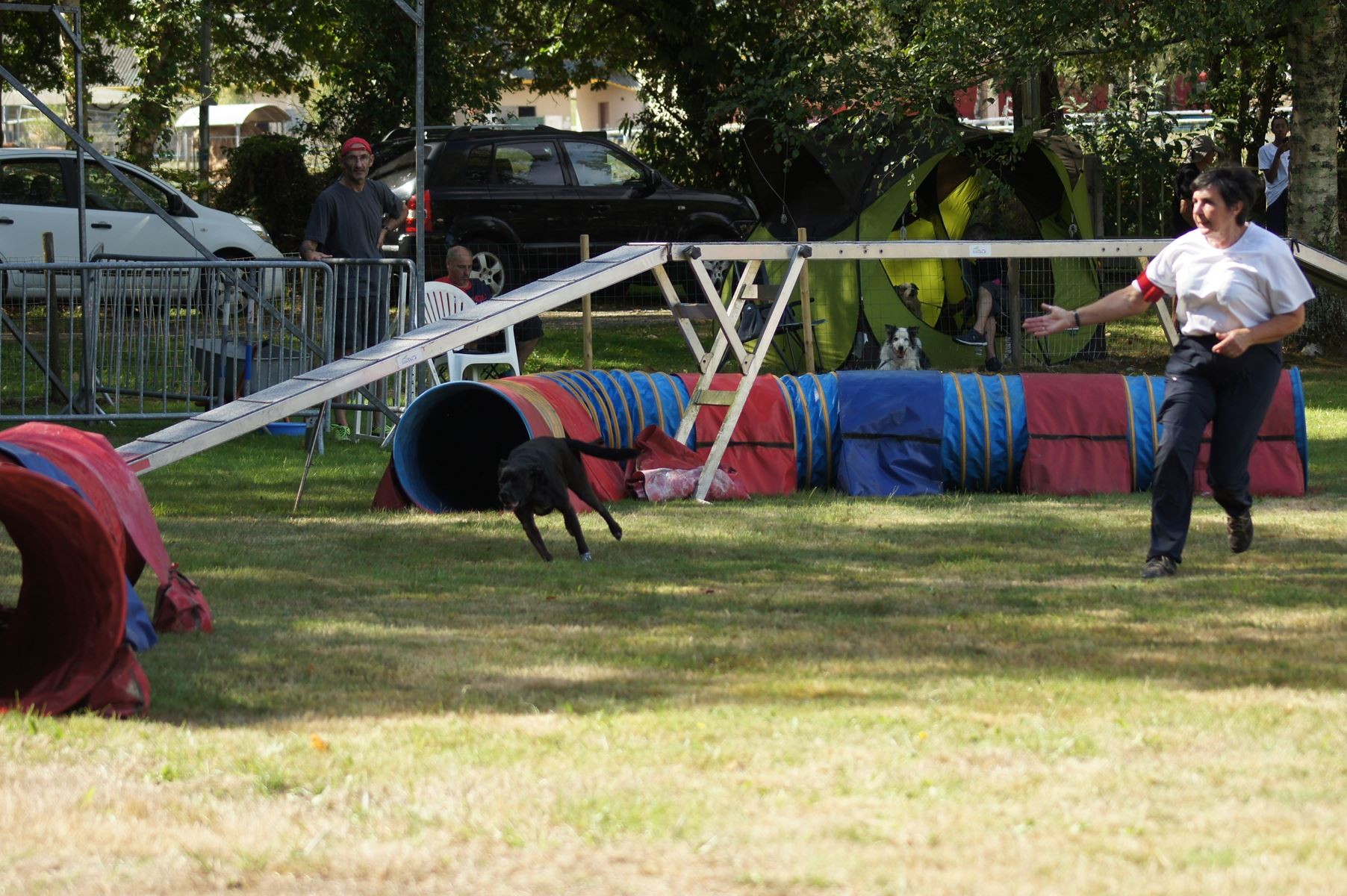  CONCOURS AGILITY 28 AOÛT 2022