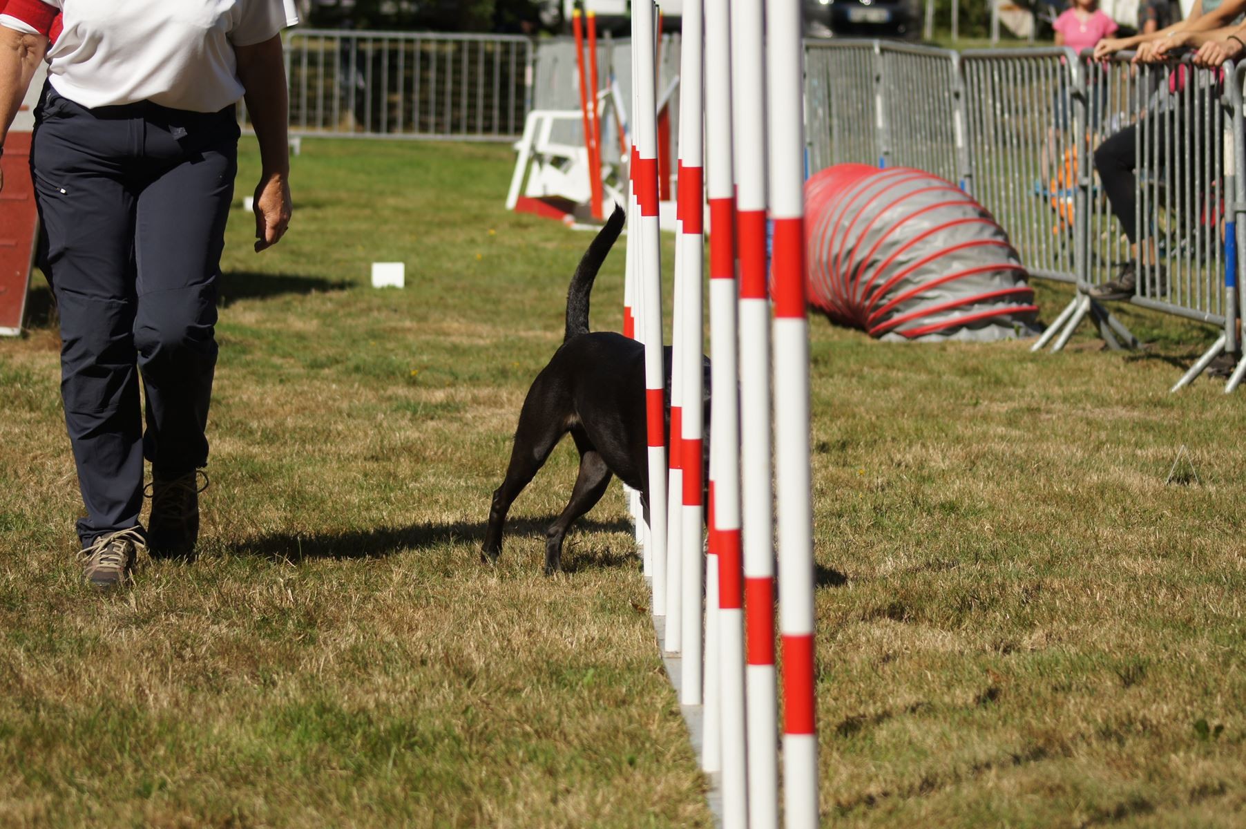  CONCOURS AGILITY 28 AOÛT 2022