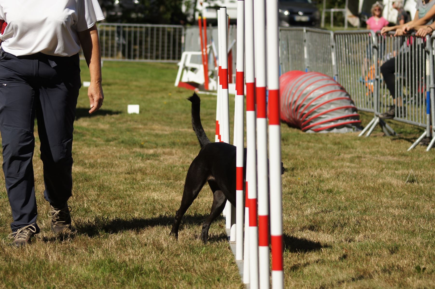  CONCOURS AGILITY 28 AOÛT 2022