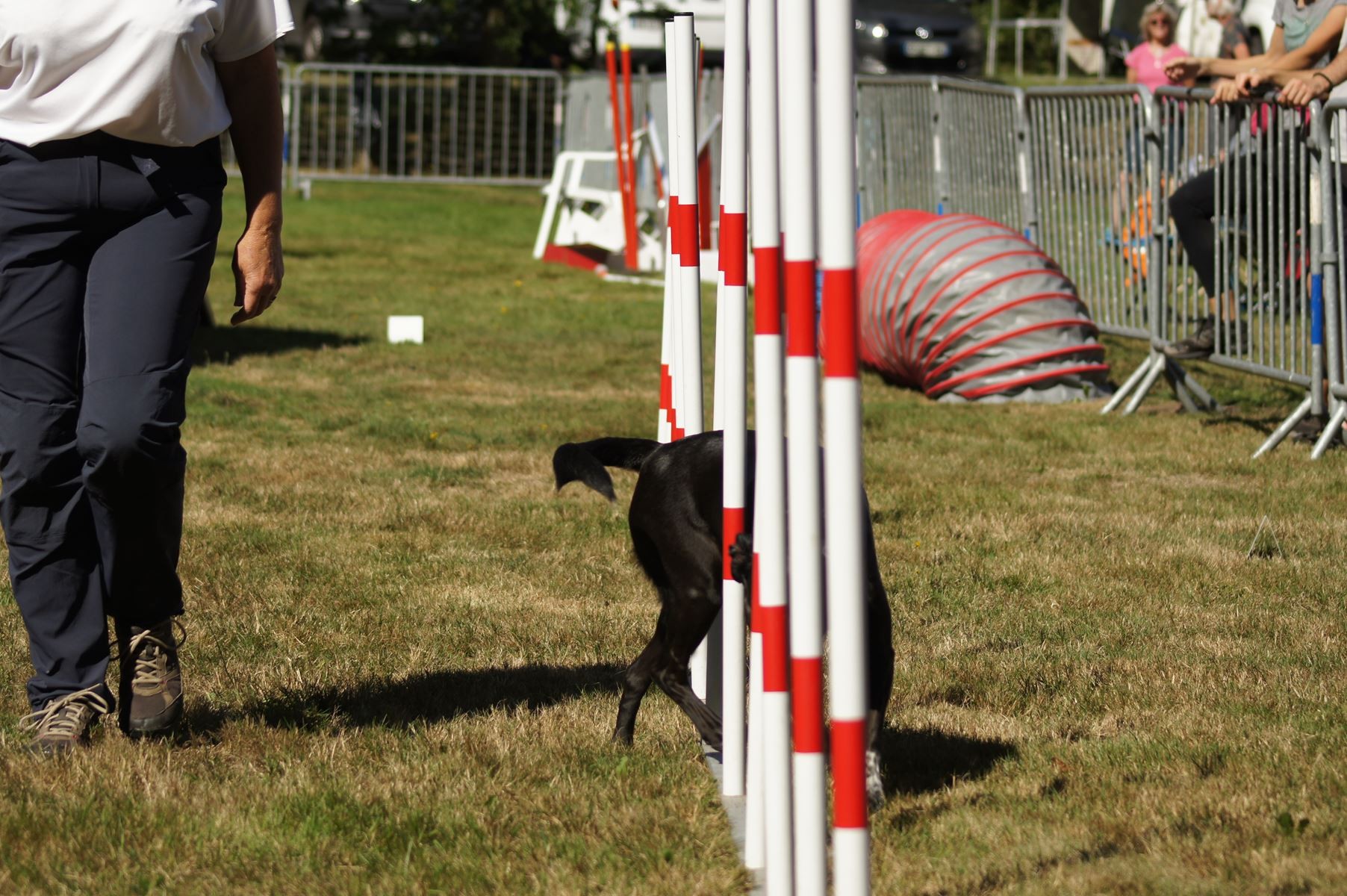  CONCOURS AGILITY 28 AOÛT 2022