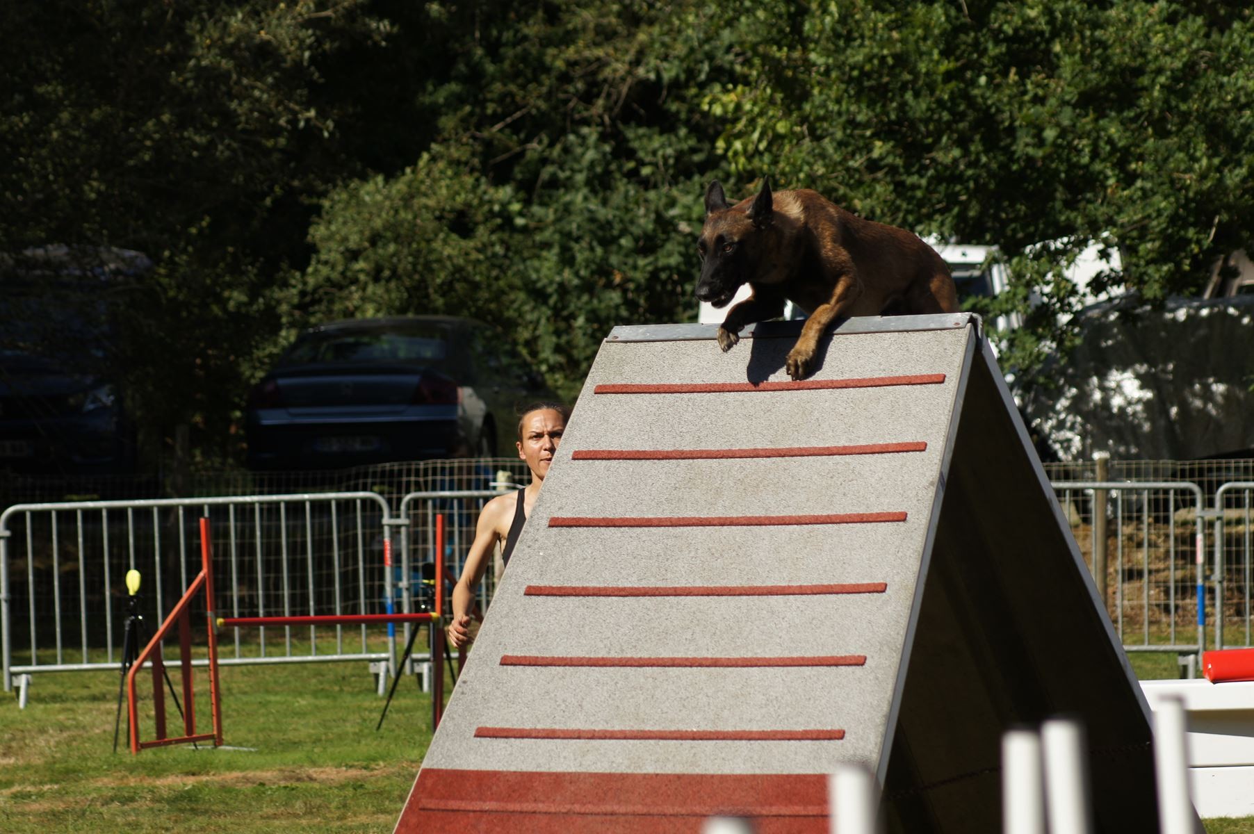  CONCOURS AGILITY 28 AOÛT 2022